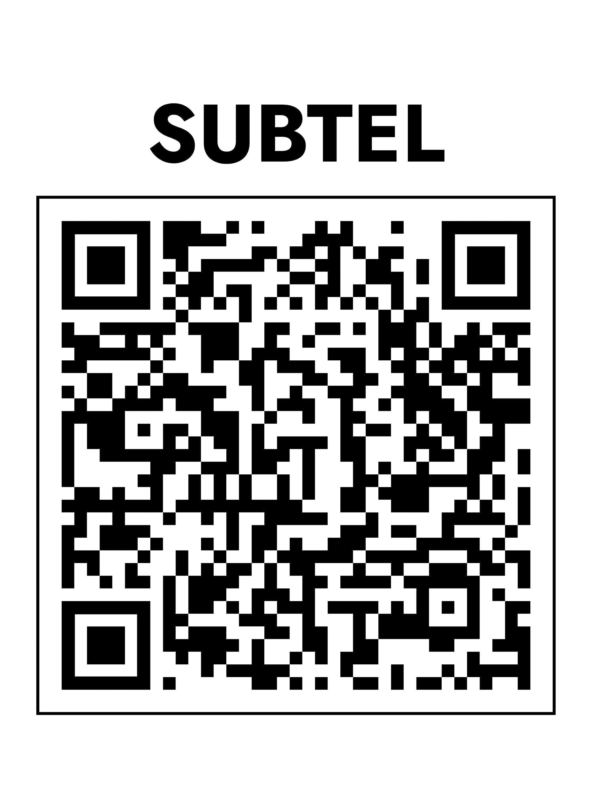 Cámara de Seguridad Interior Mini 2K MB-002-4