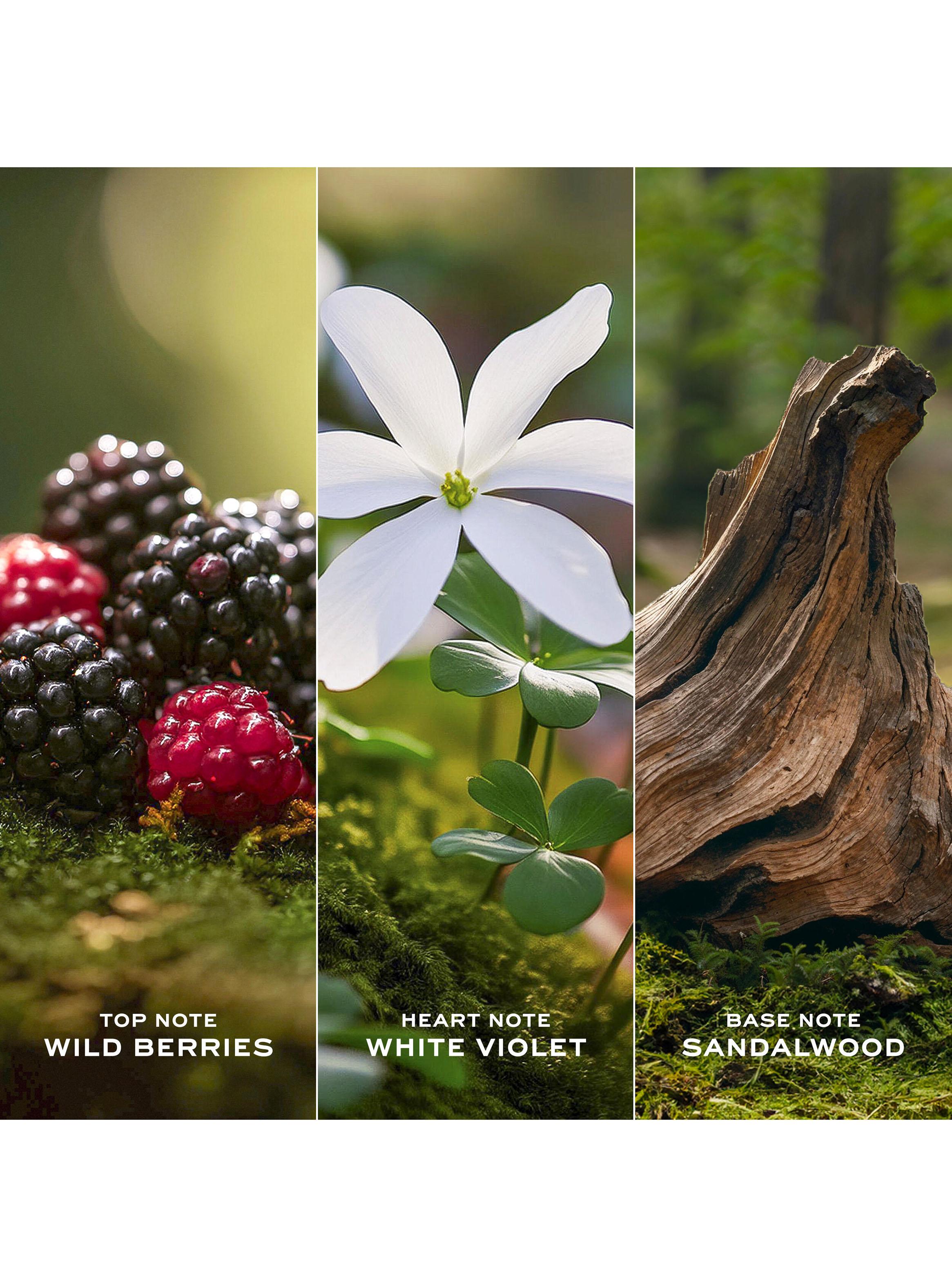 Perfume Marc Jacobs Daisy EDT Mujer 50 ml-3