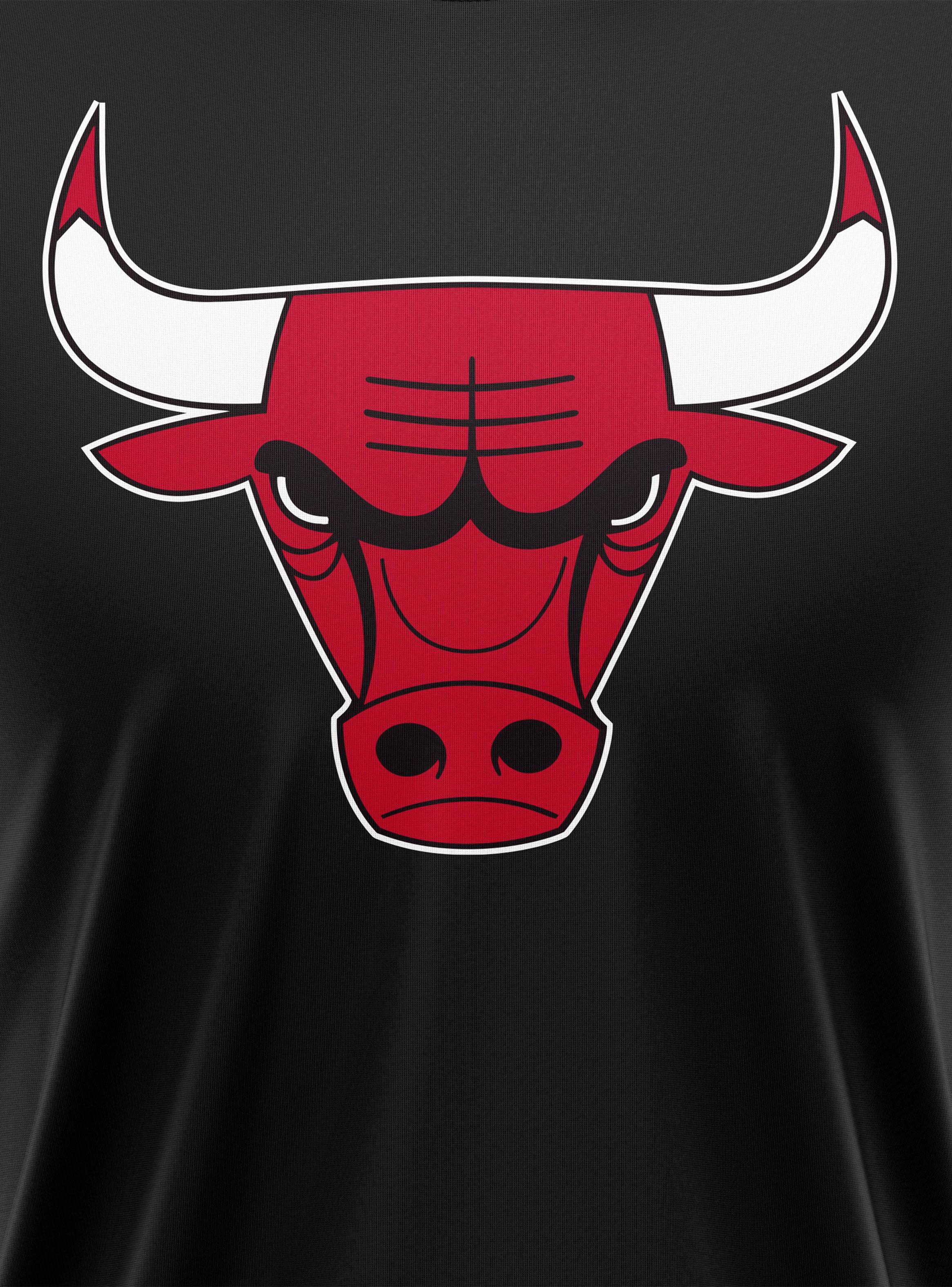 Polera NBA Primary Team Logo Basic Jersey-2
