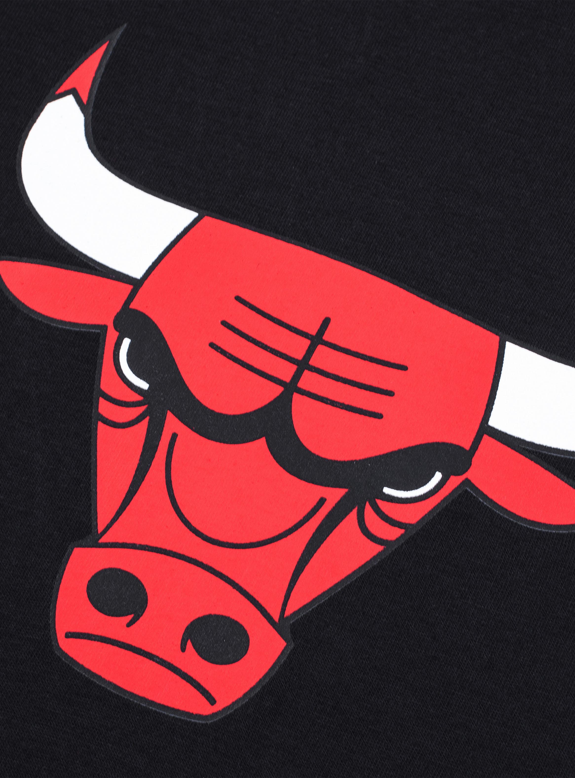 Polera Basic Chicago Bulls Logo Frontal-3