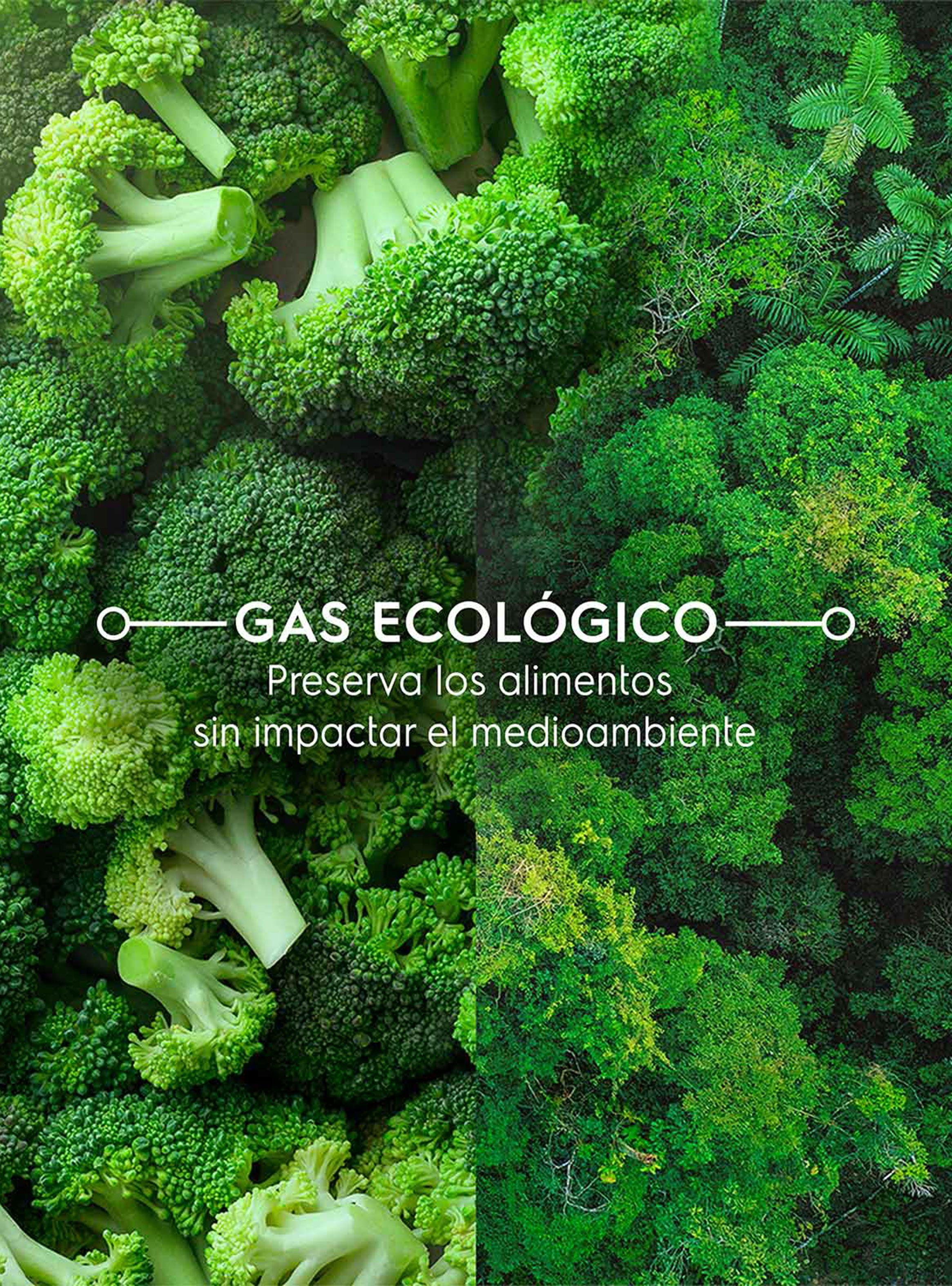 Refrigerador Bottom Freezer No Frost 285 Litros MI60S-7