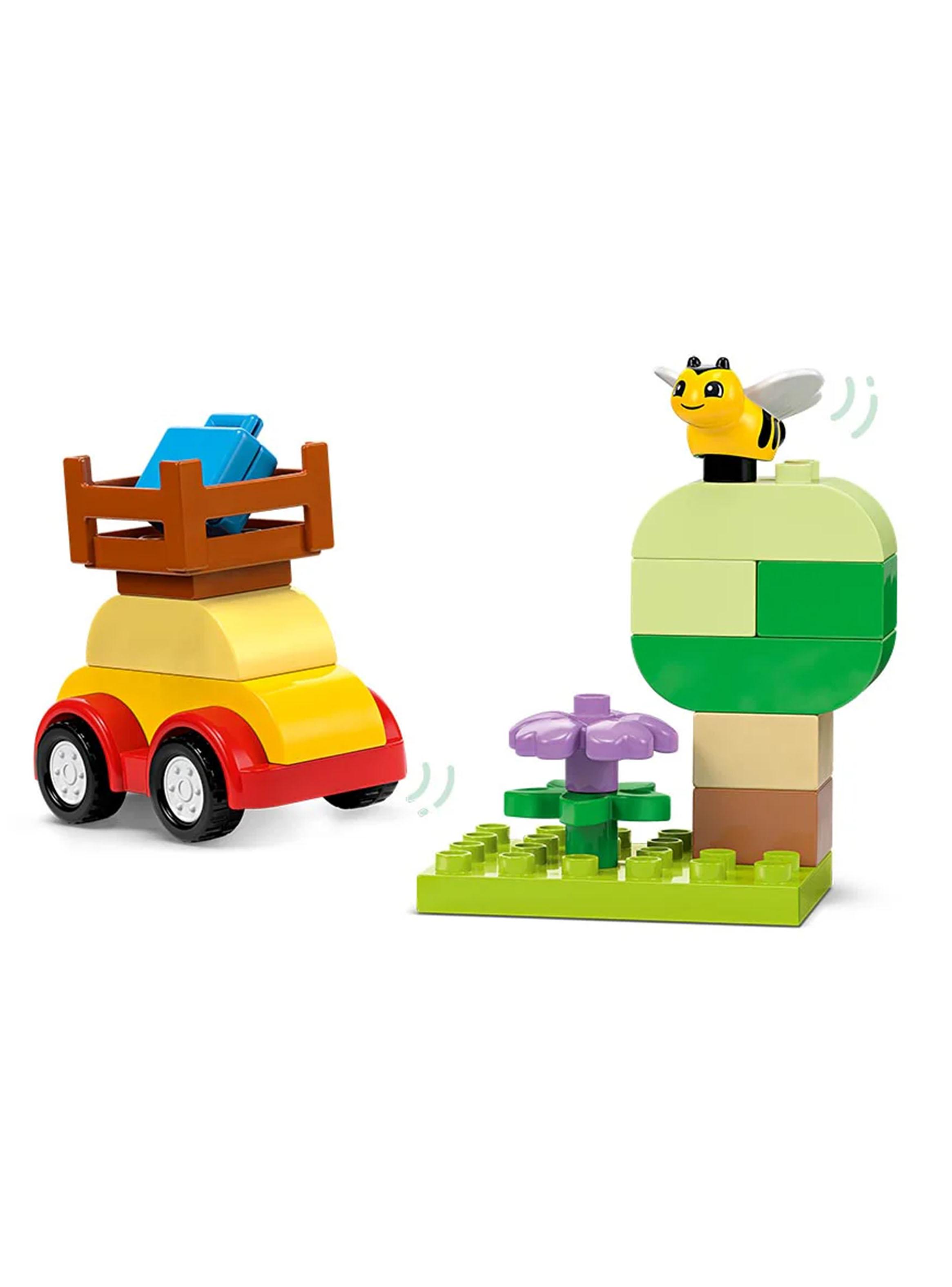 Caja de Bricks: Autos y Camiones Duplo-3