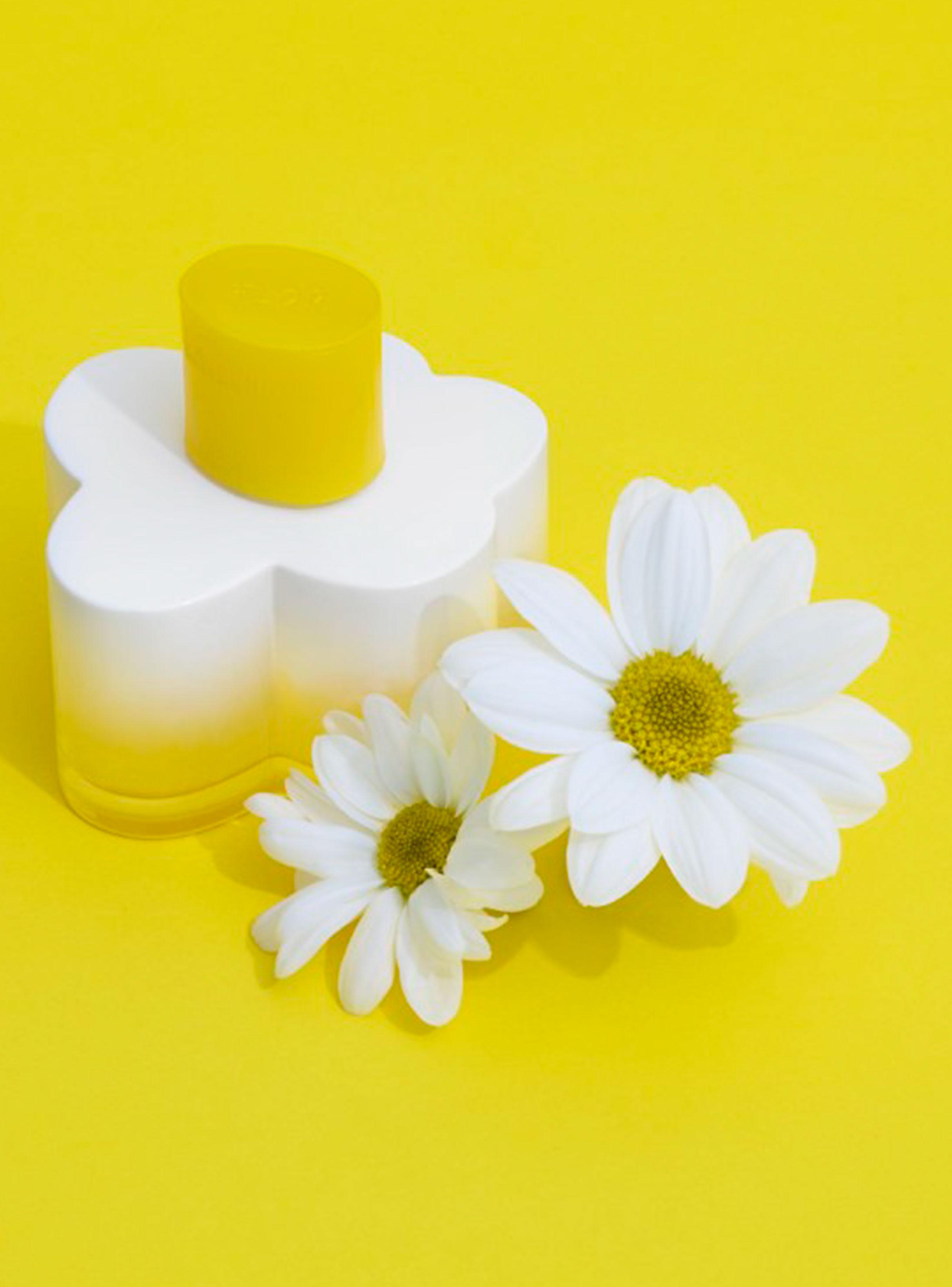 Perfume de Flor en Flor EDT Mujer 100 ml-2