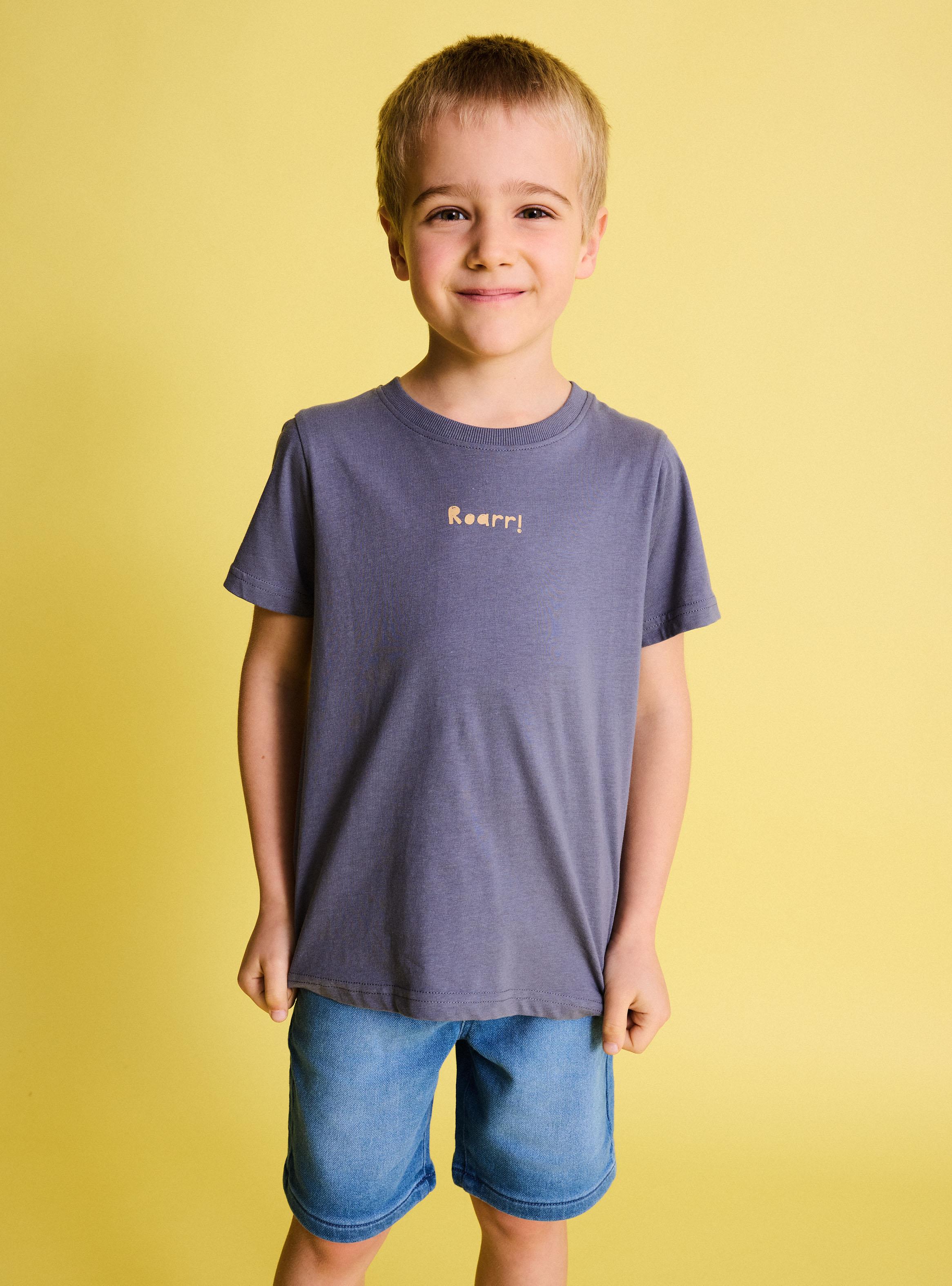 Polera Lisa Tripack Estampado Niño-4