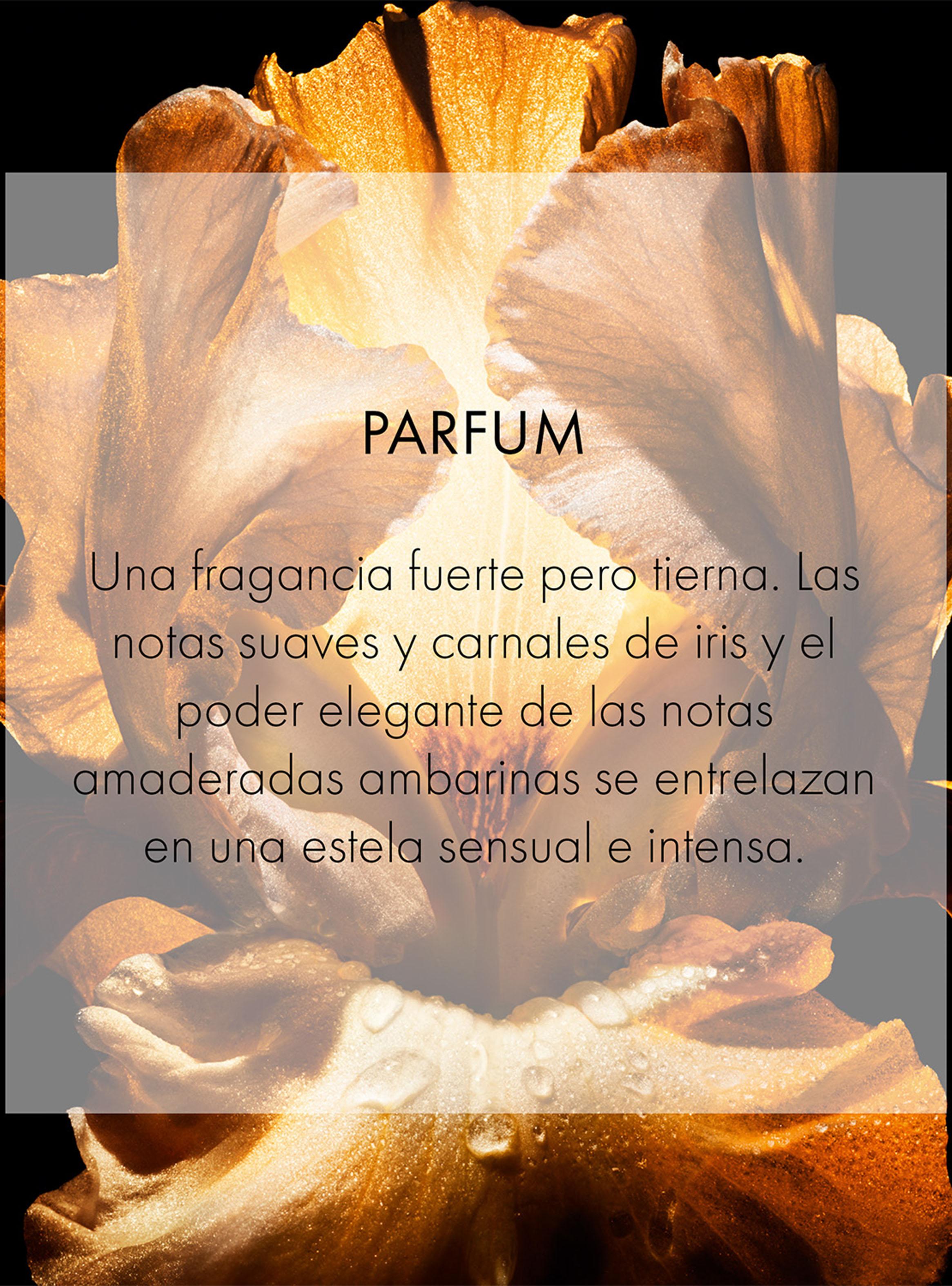 Perfume Homme Parfum Hombre 75 ml-3