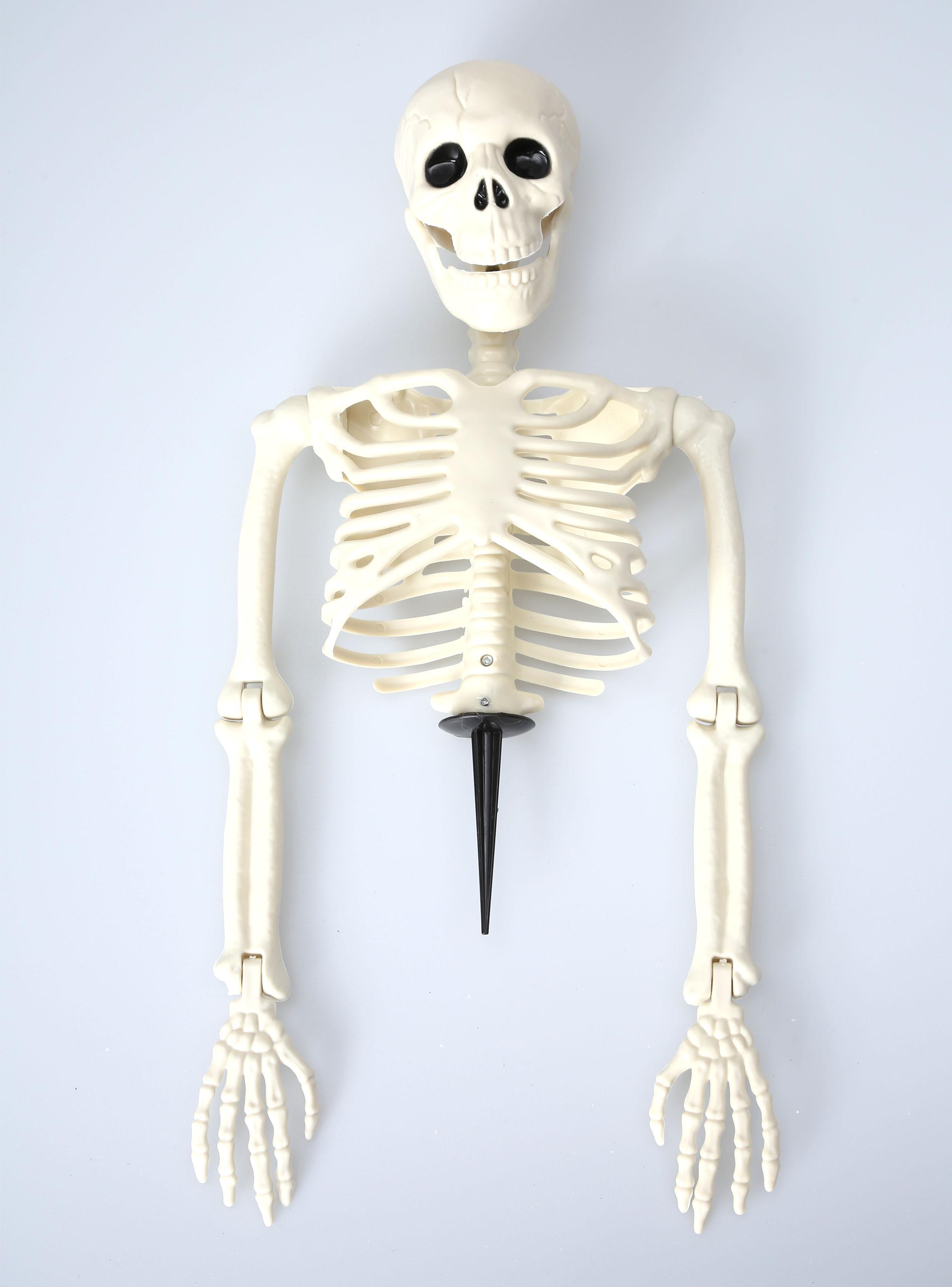 Esqueleto Medio Halloween-0