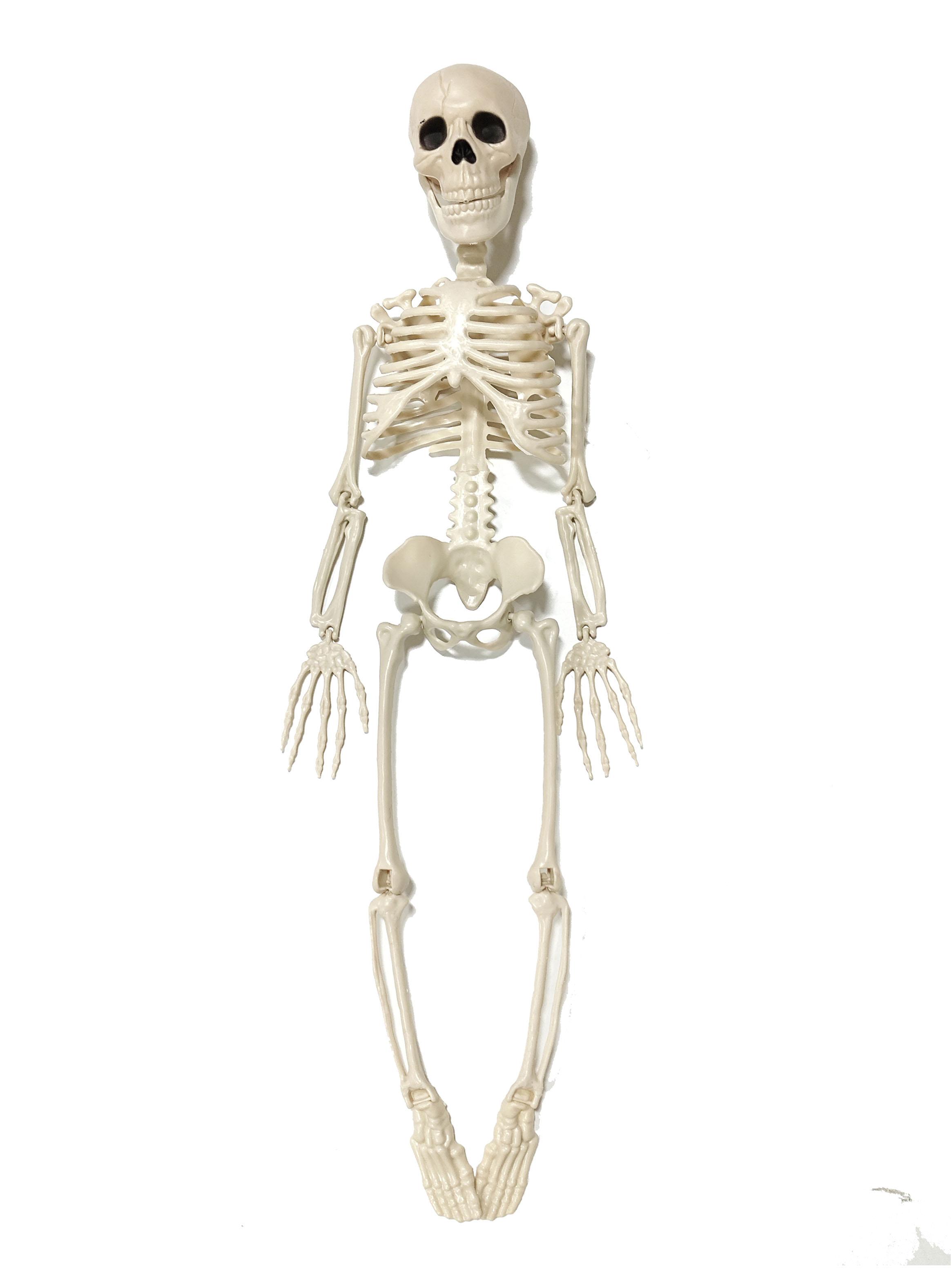 Esqueleto Halloween 90 cm-0
