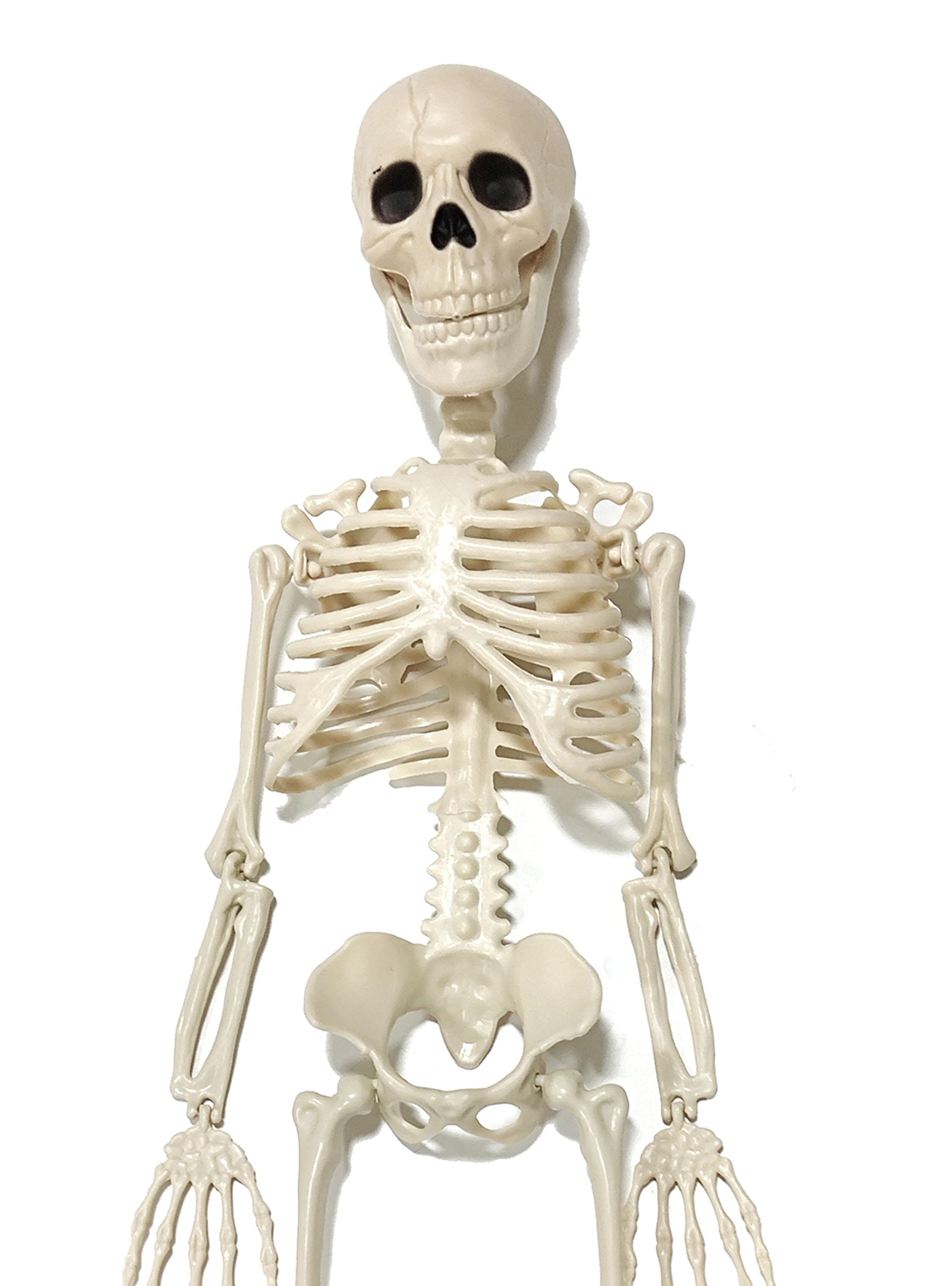 Esqueleto Halloween 90 cm-1