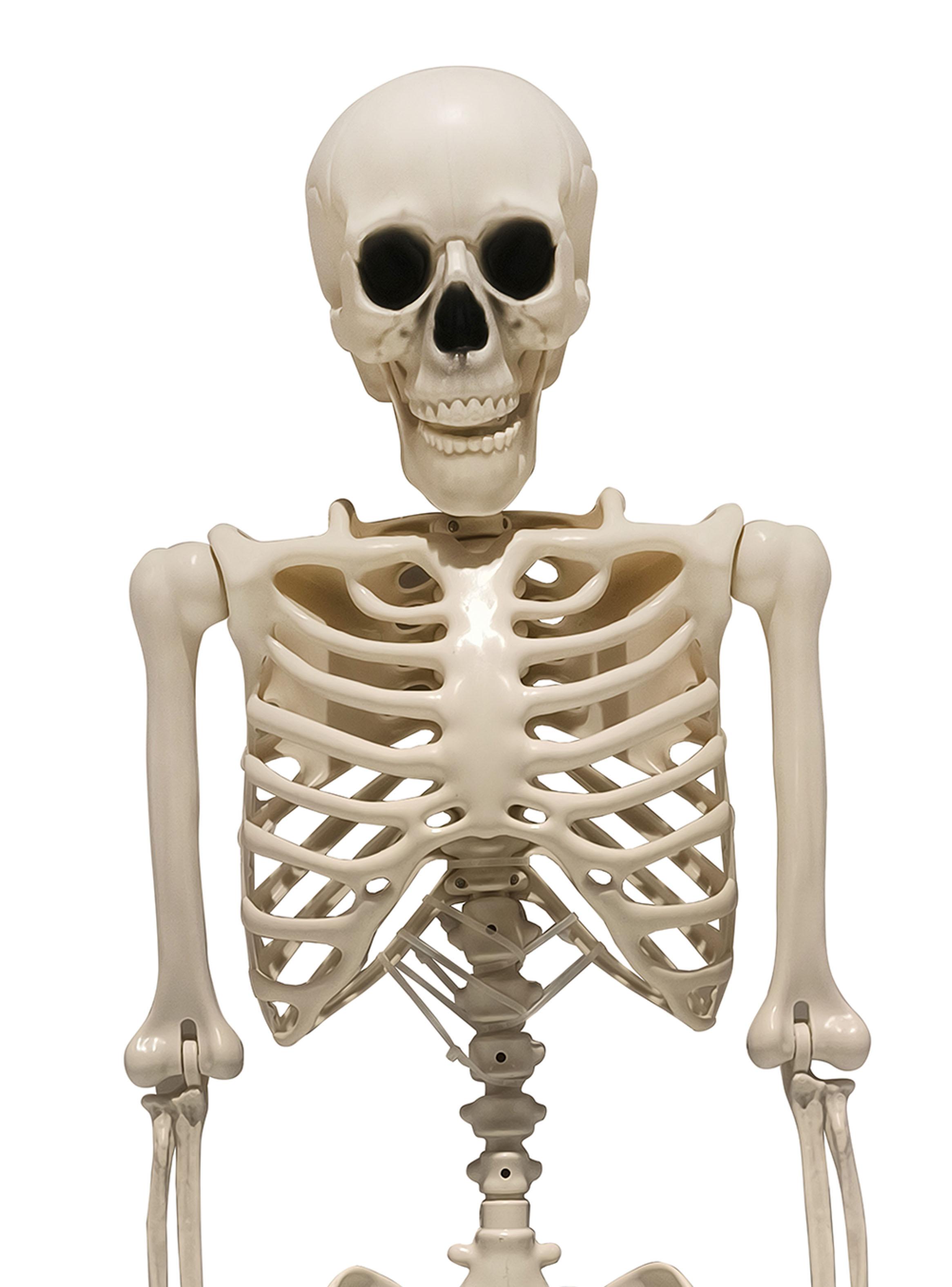 Esqueleto Halloween 165 cm-1