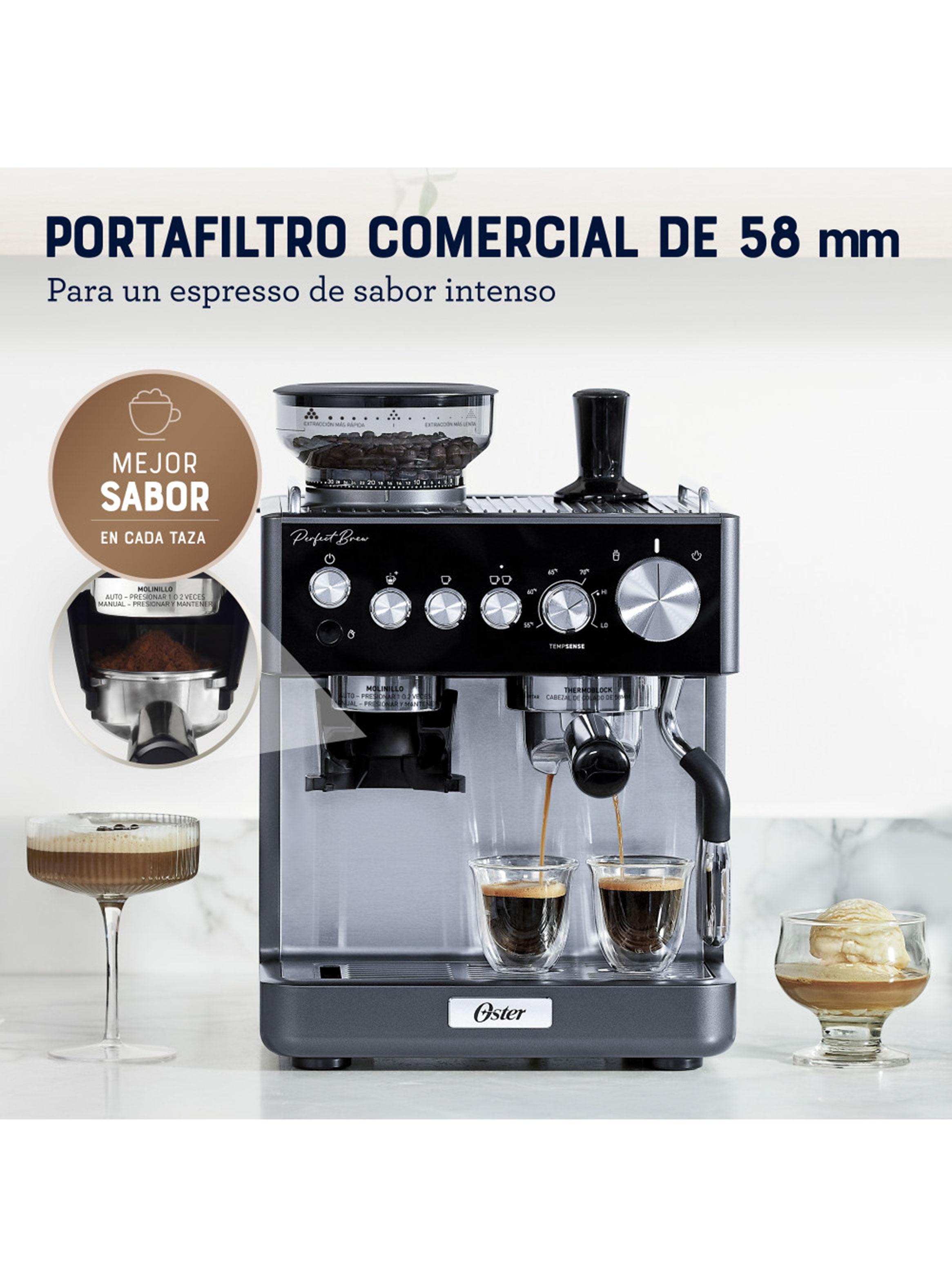 Cafetera Espresso Perfect Brew 7301 Gris-4