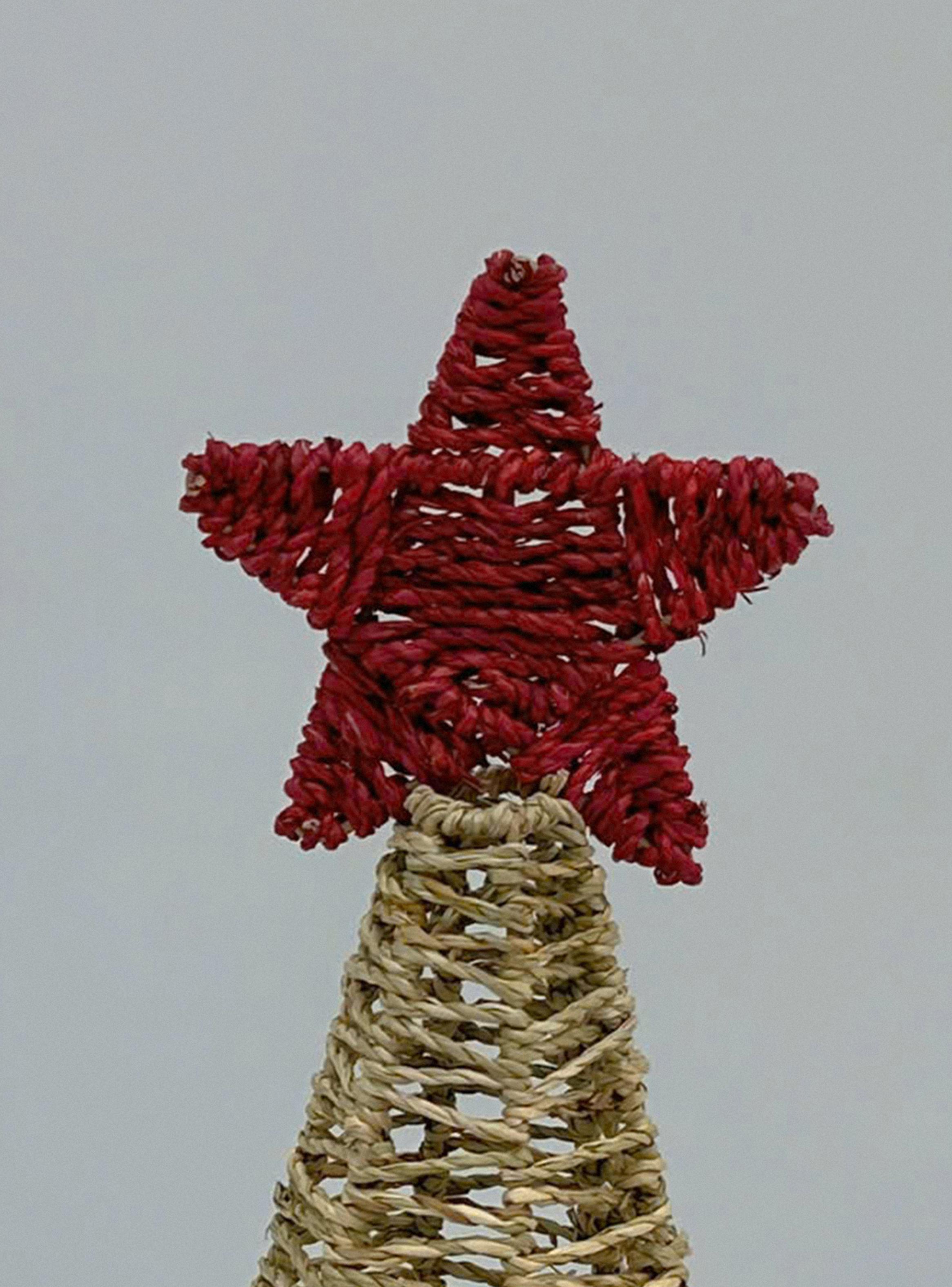 Árbol Forest Seagrass 41 cm-1