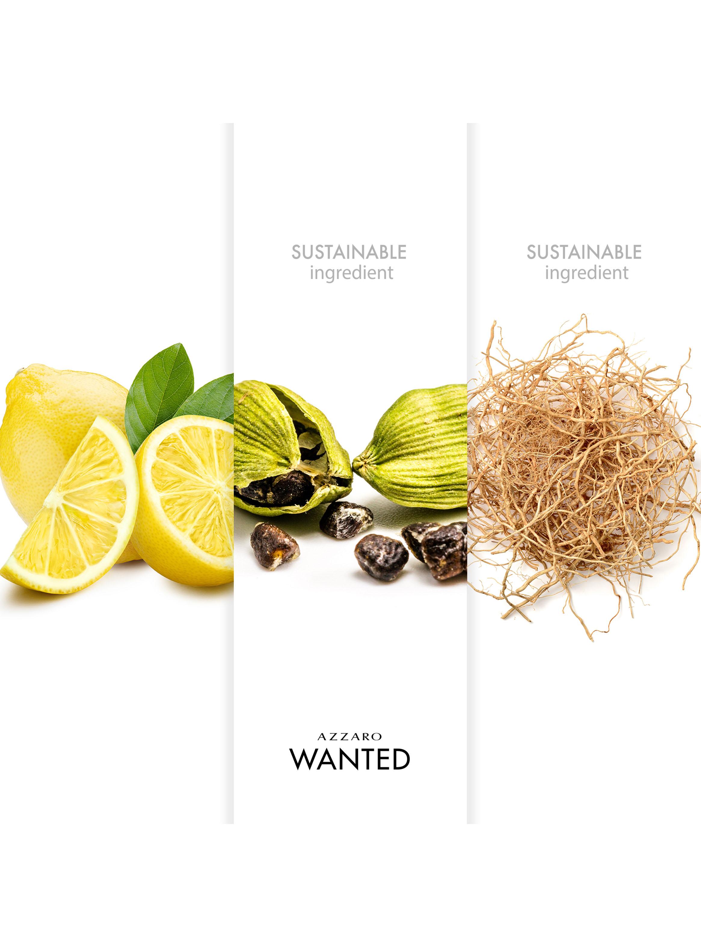 Perfume Wanted EDT Hombre 100 ml-2