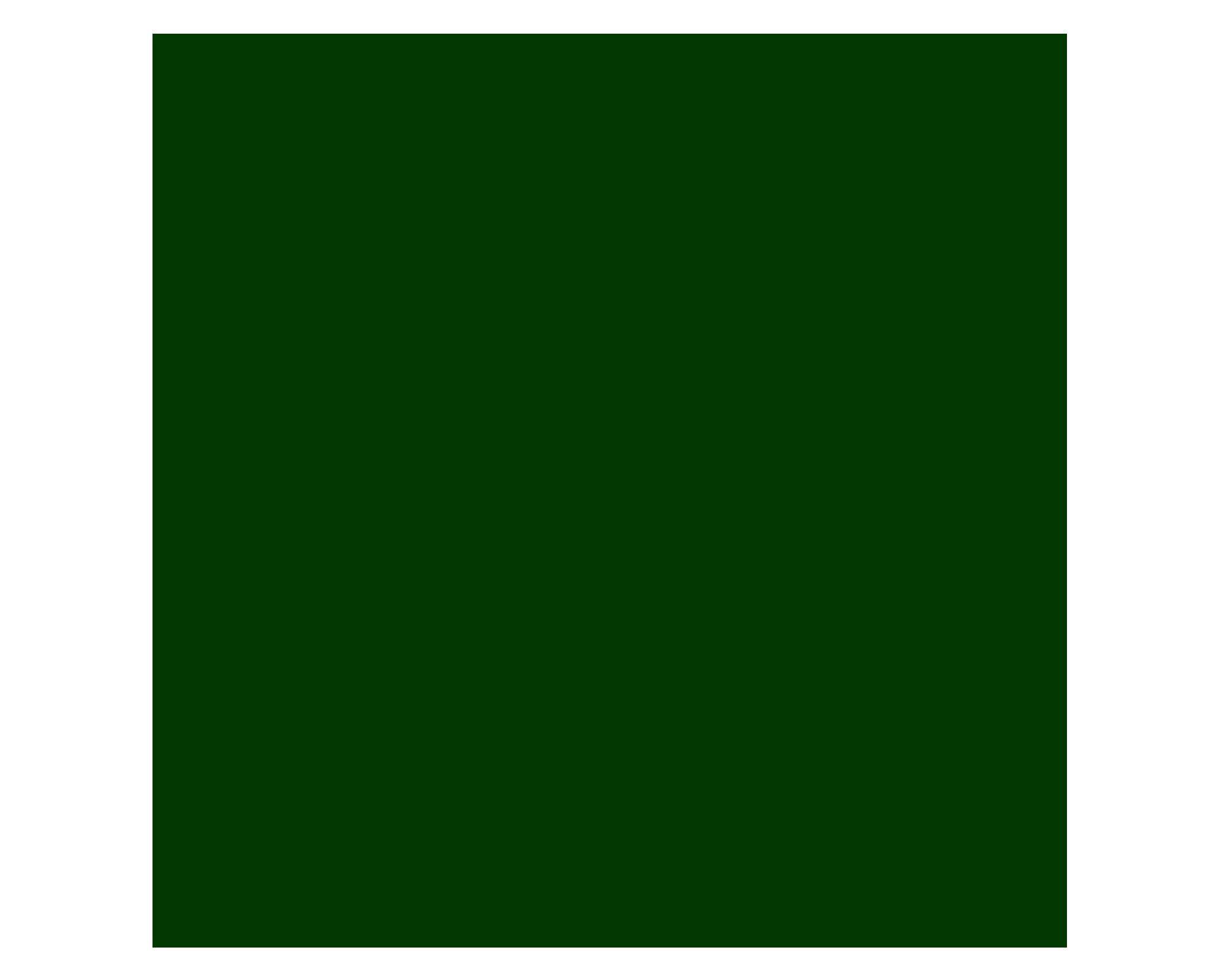Esmalte sintético 400 ml Profesional verde bosque brillante Tricolor-1