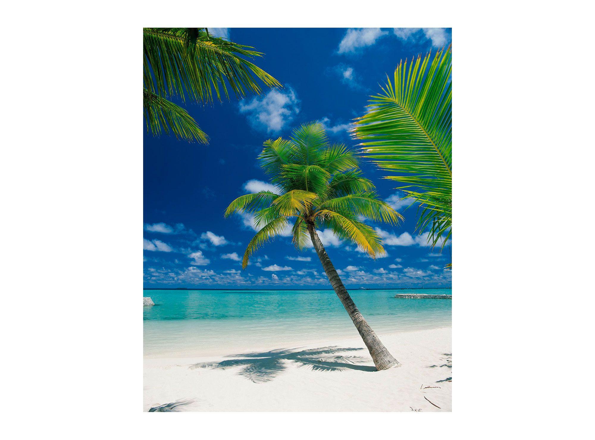 Fotomural 184x254 cm Ari Atoll 4883 Komar-0