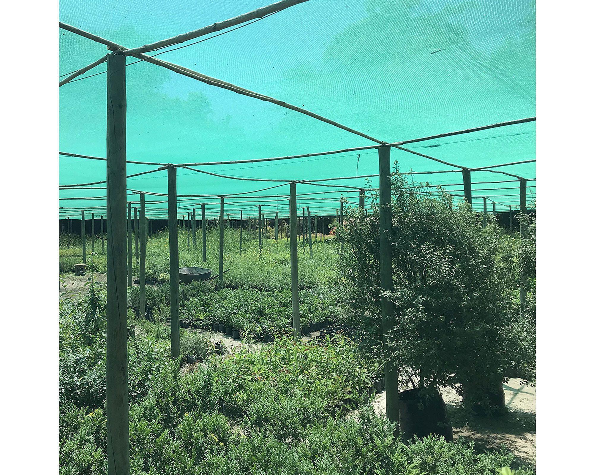 Malla sombra 2.1x10 m Standard Marienberg-3