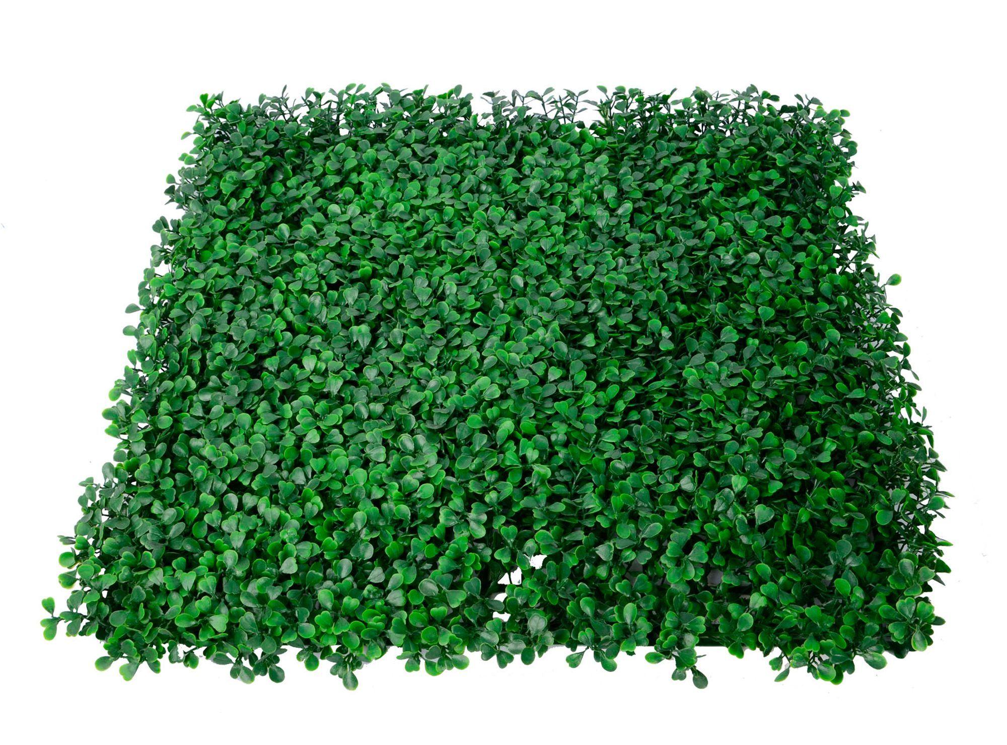 Arbusto artificial cuadrado 50x50 cm Boj Roots-0