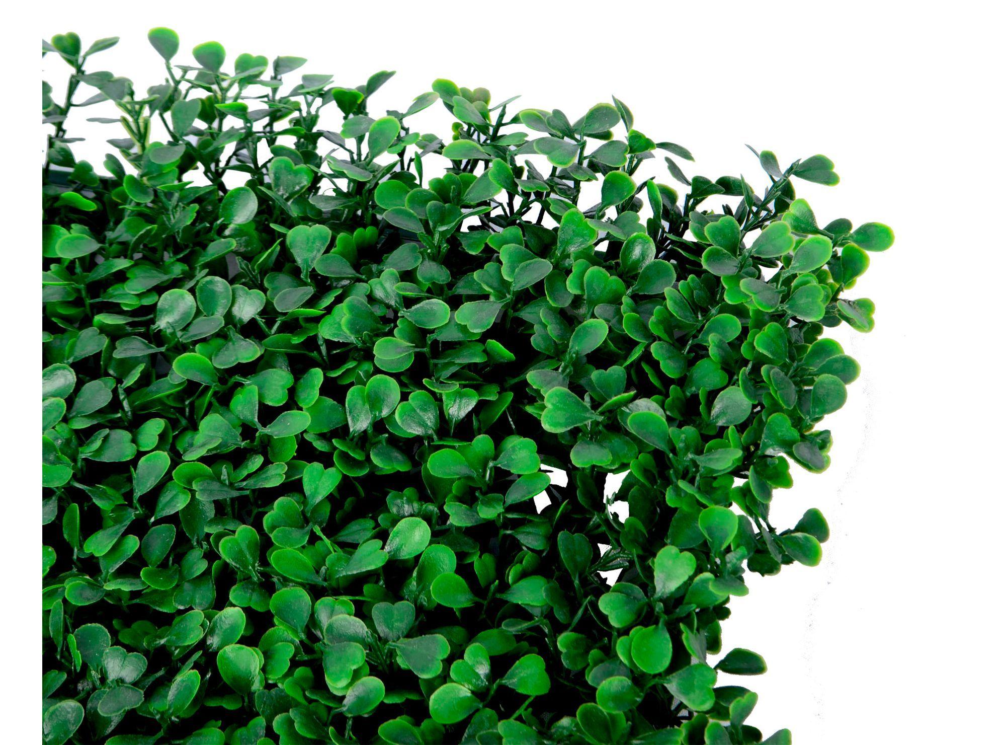 Arbusto artificial cuadrado 50x50 cm Boj Roots-1