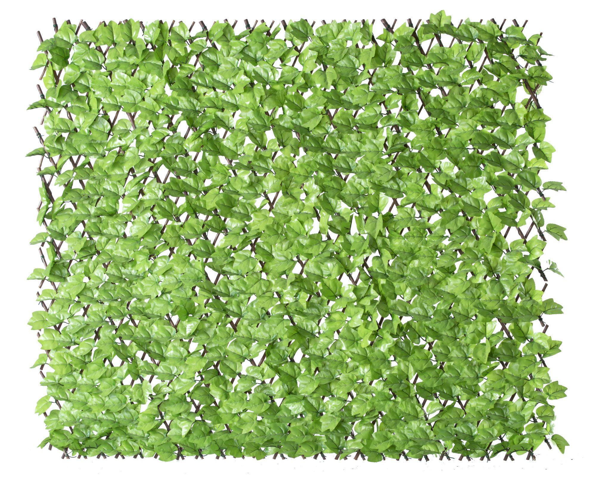 Jardín vertical 1x2 m Argelia verde Roots-0