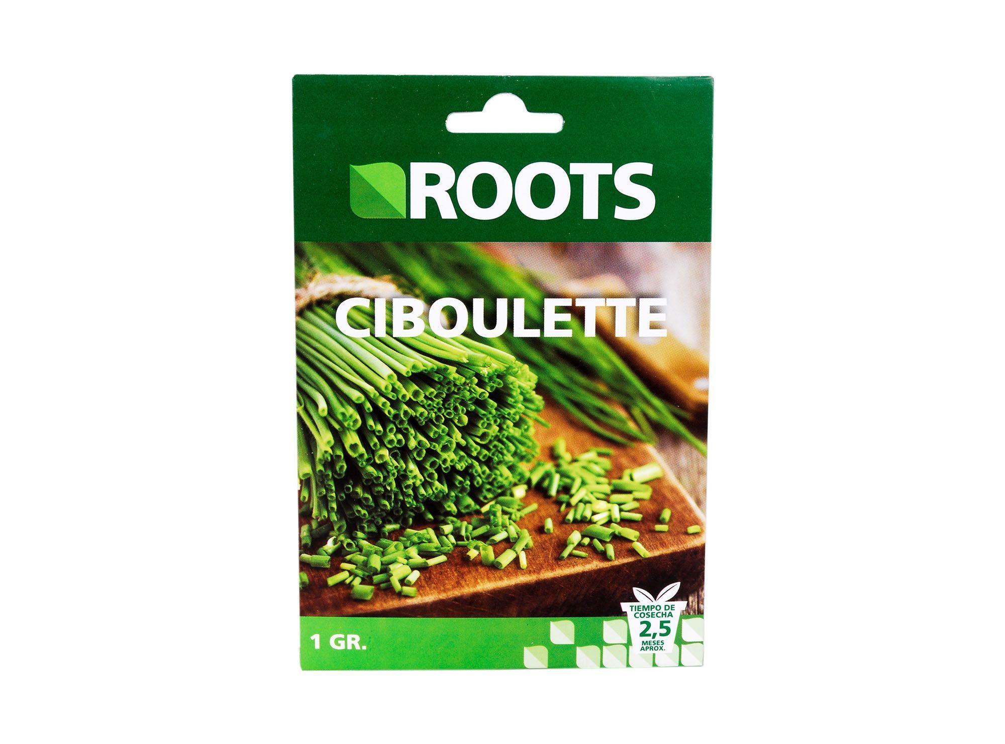 Semilla ciboulette común tiempo cosecha 2.5 meses x1 g Roots-1