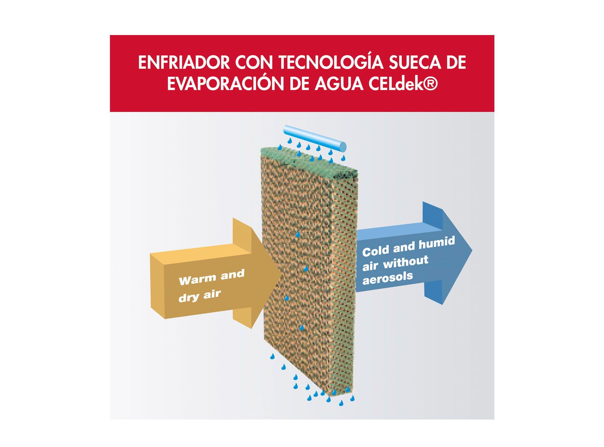 Climatizador digital 5 en 1 Thorben-4