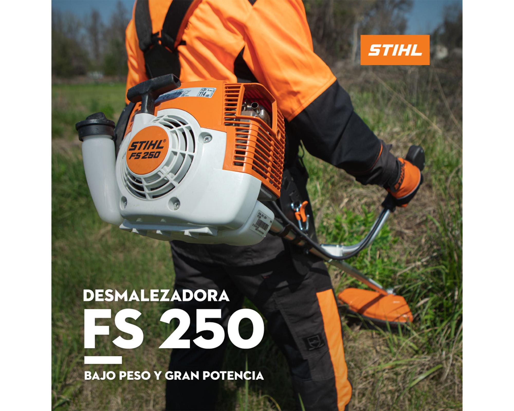 Desbrozadora combustión 40,2 cc 2,2 HP FS250 Stihl-2