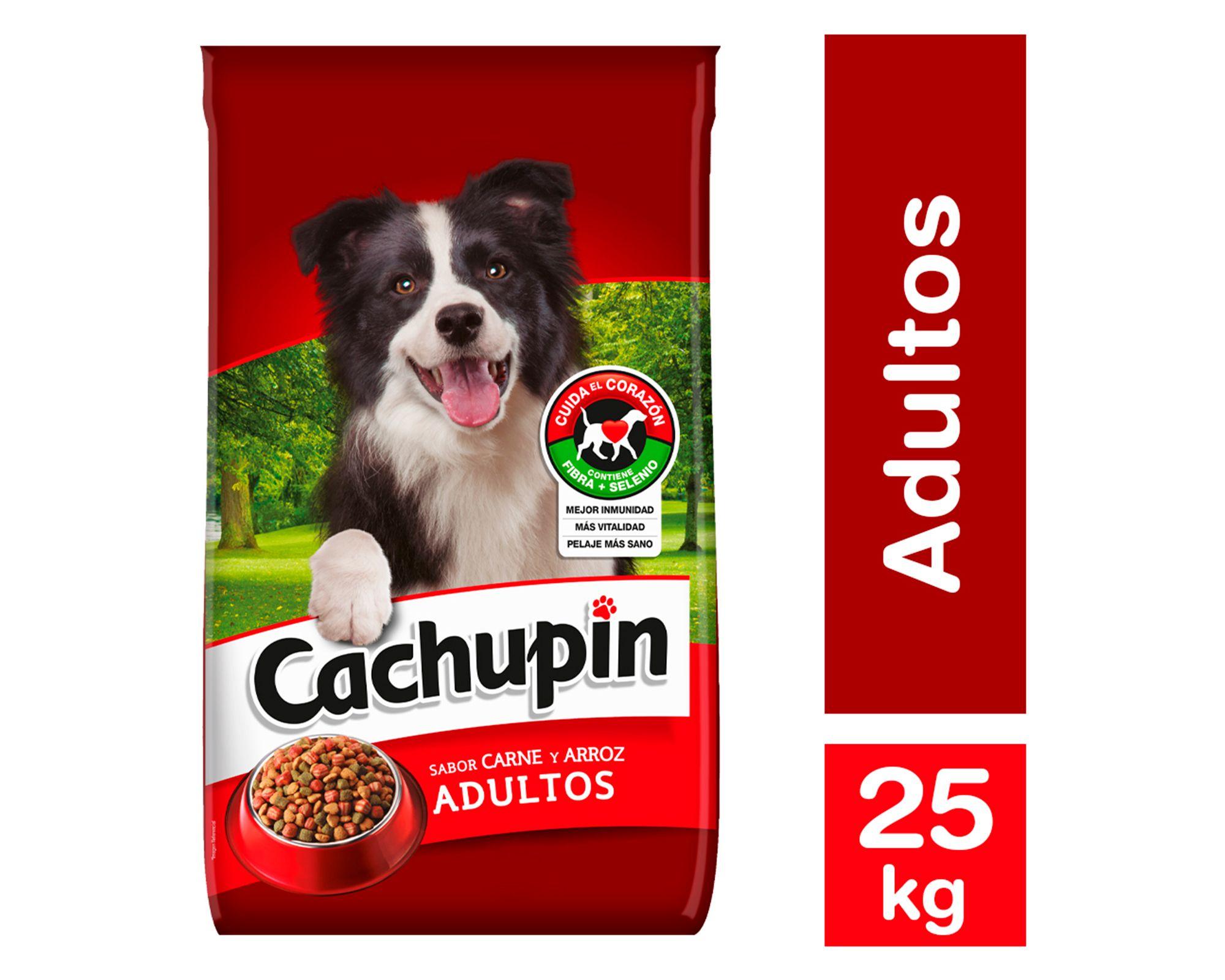 Alimento perro 25 kg Premium carne y arroz Cachupin-0
