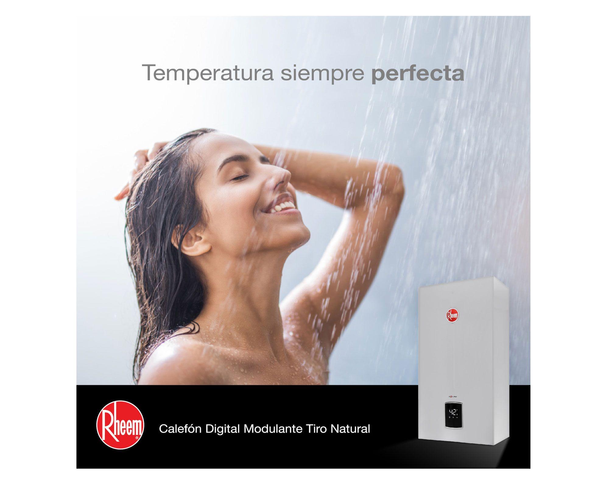 Calefont tiro natural 14 litros gas natural Prestige Rheem-4