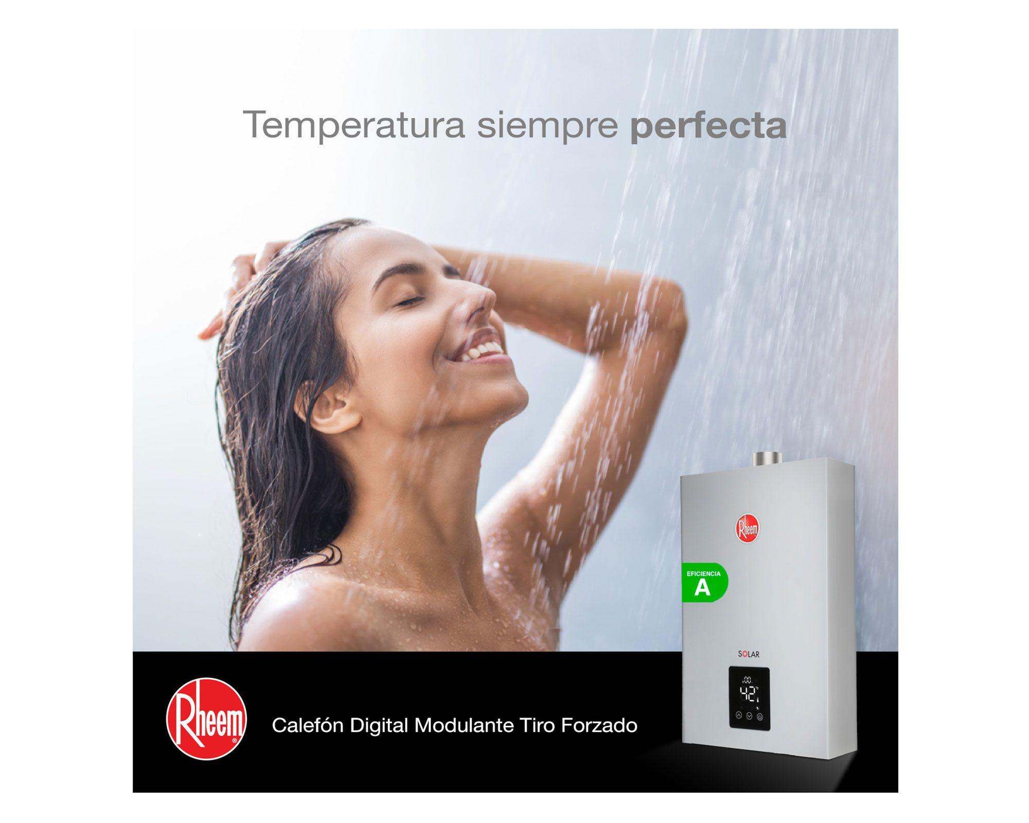 Calefont ionizado tiro forzado 14 litros gas licuado Modulante Rheem-3