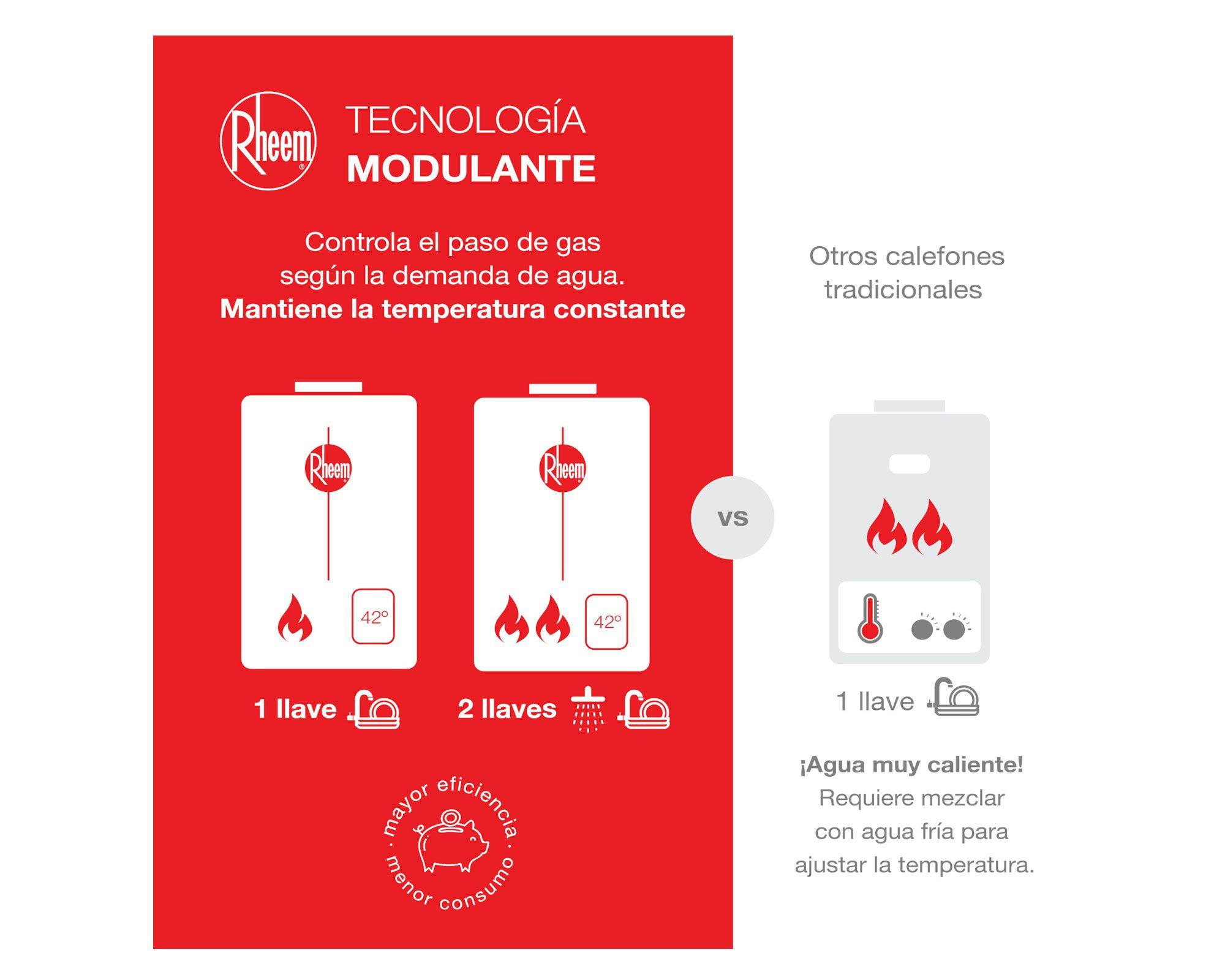 Calefont ionizado tiro forzado 14 litros gas licuado Modulante Rheem-4