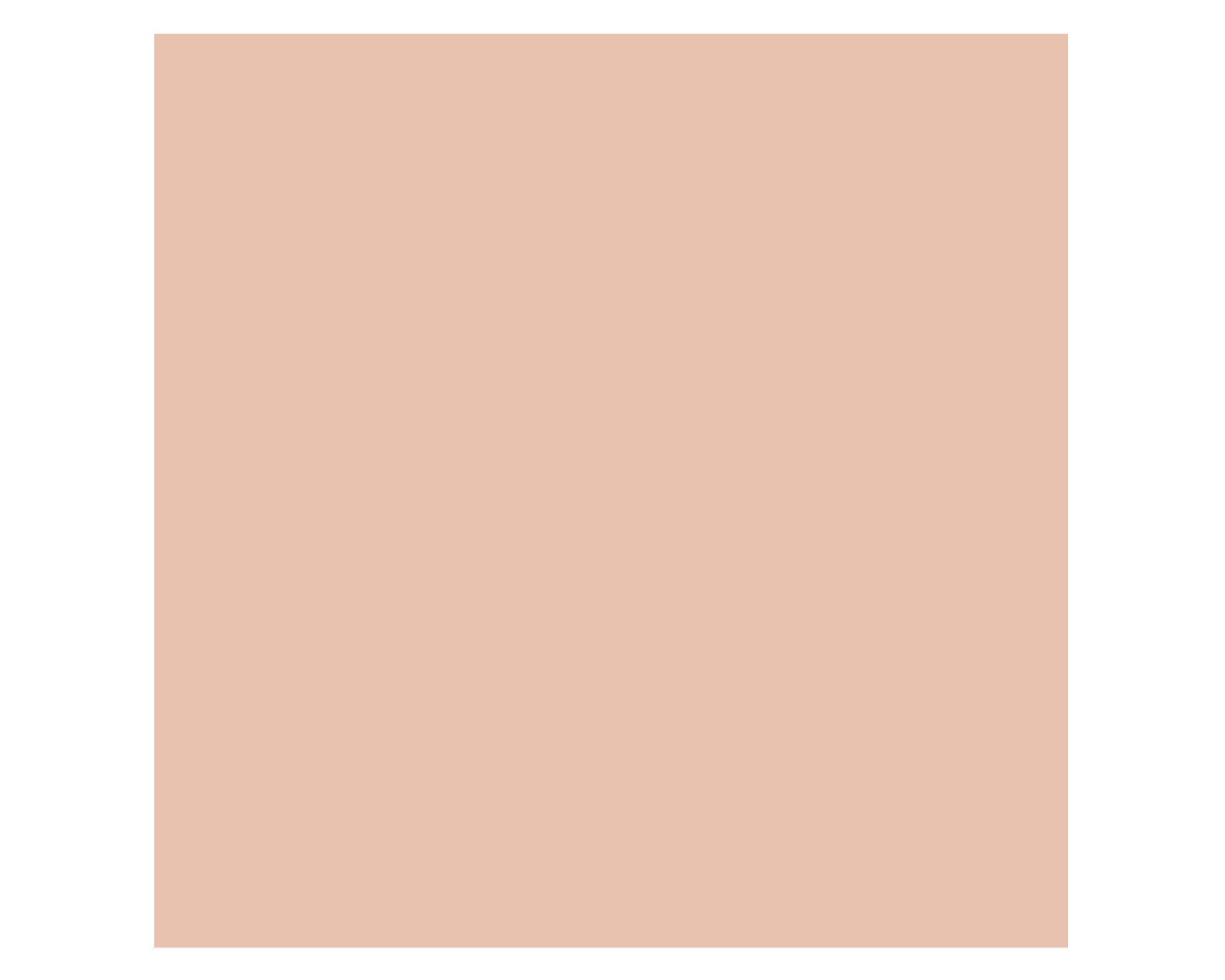 Pintura 130 ml Chalky look james taupe mate Fleur-3
