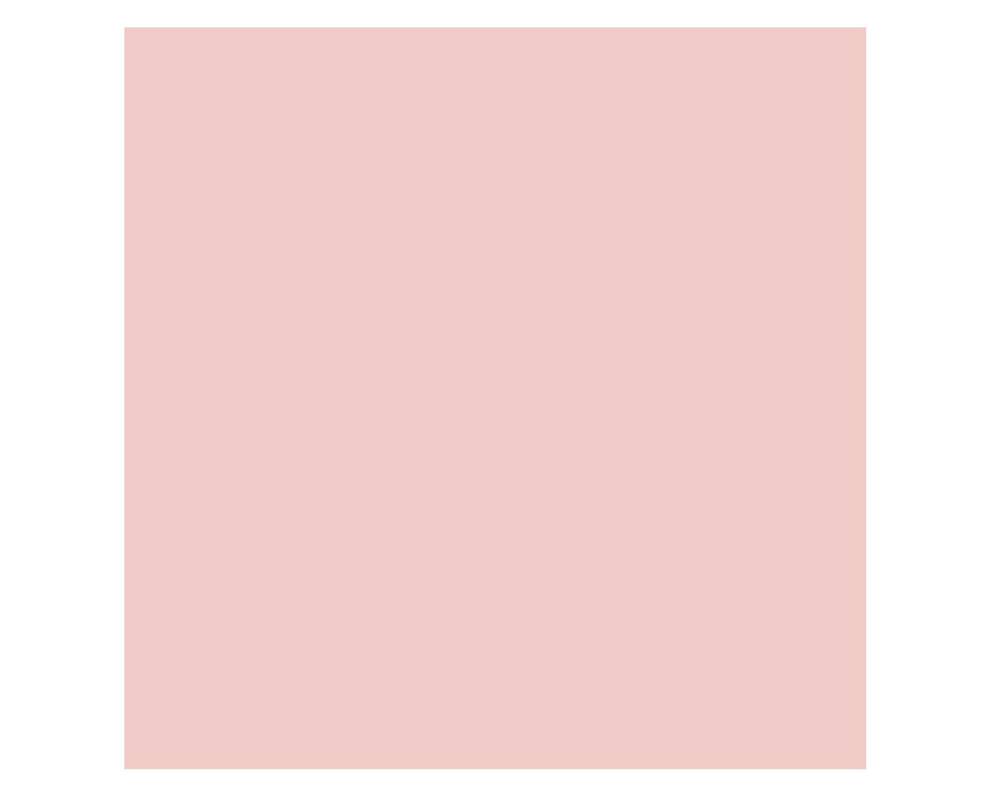 Pintura 130 ml Chalky look milady rose mate Fleur-3