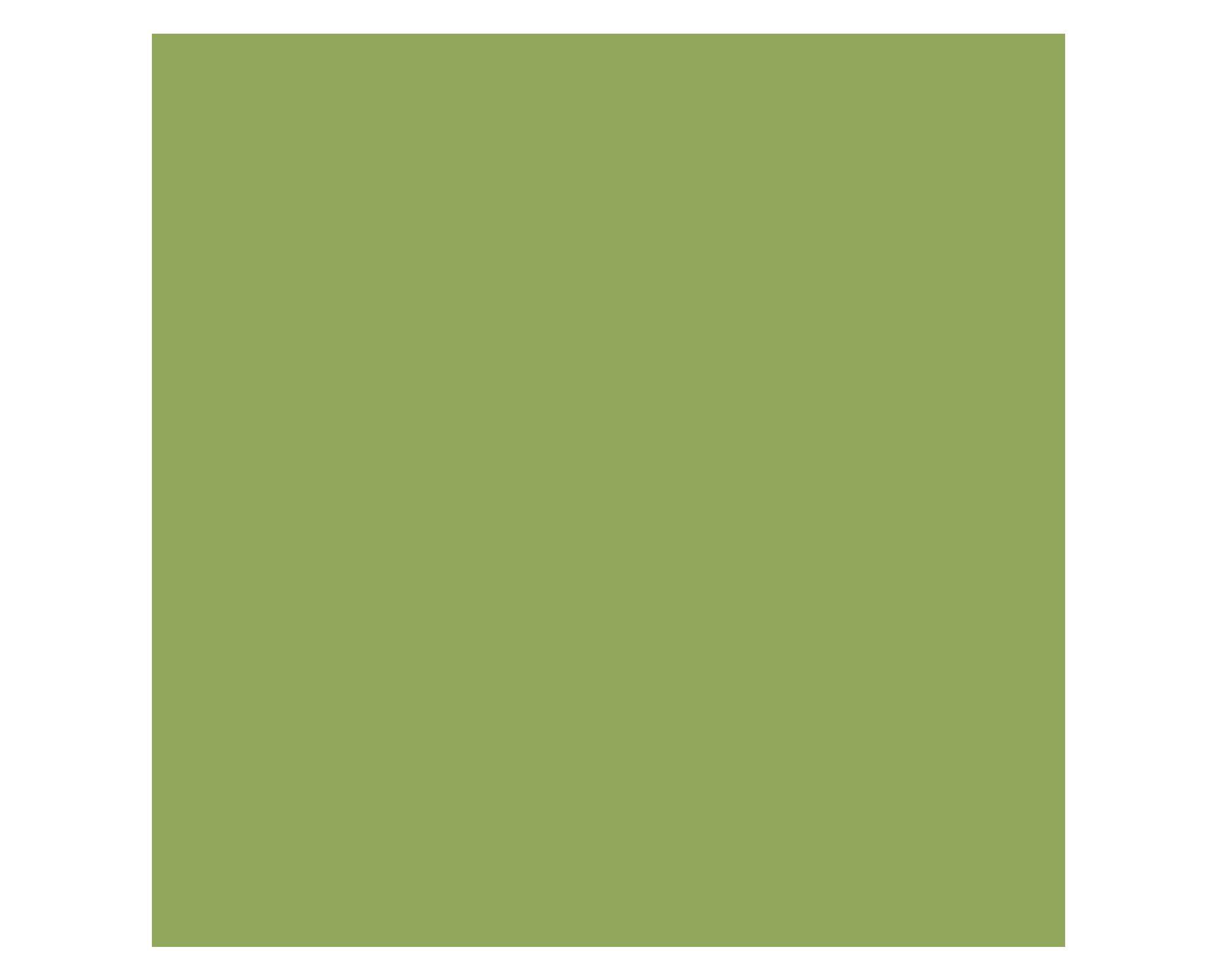 Pintura 130 ml Chalky look bamboo mate Fleur-3