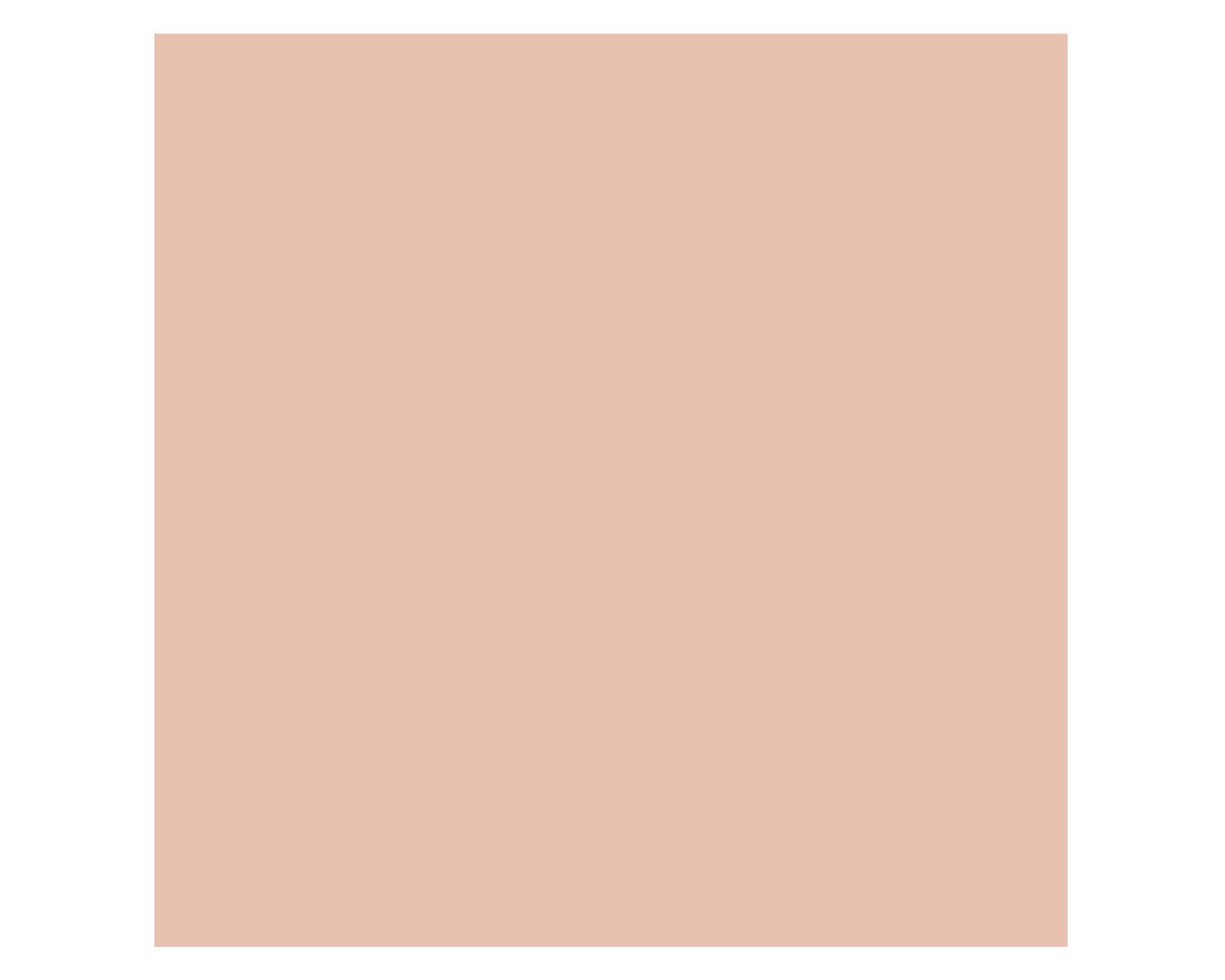 Pintura 330 ml Chalky look james taupe mate Fleur-3