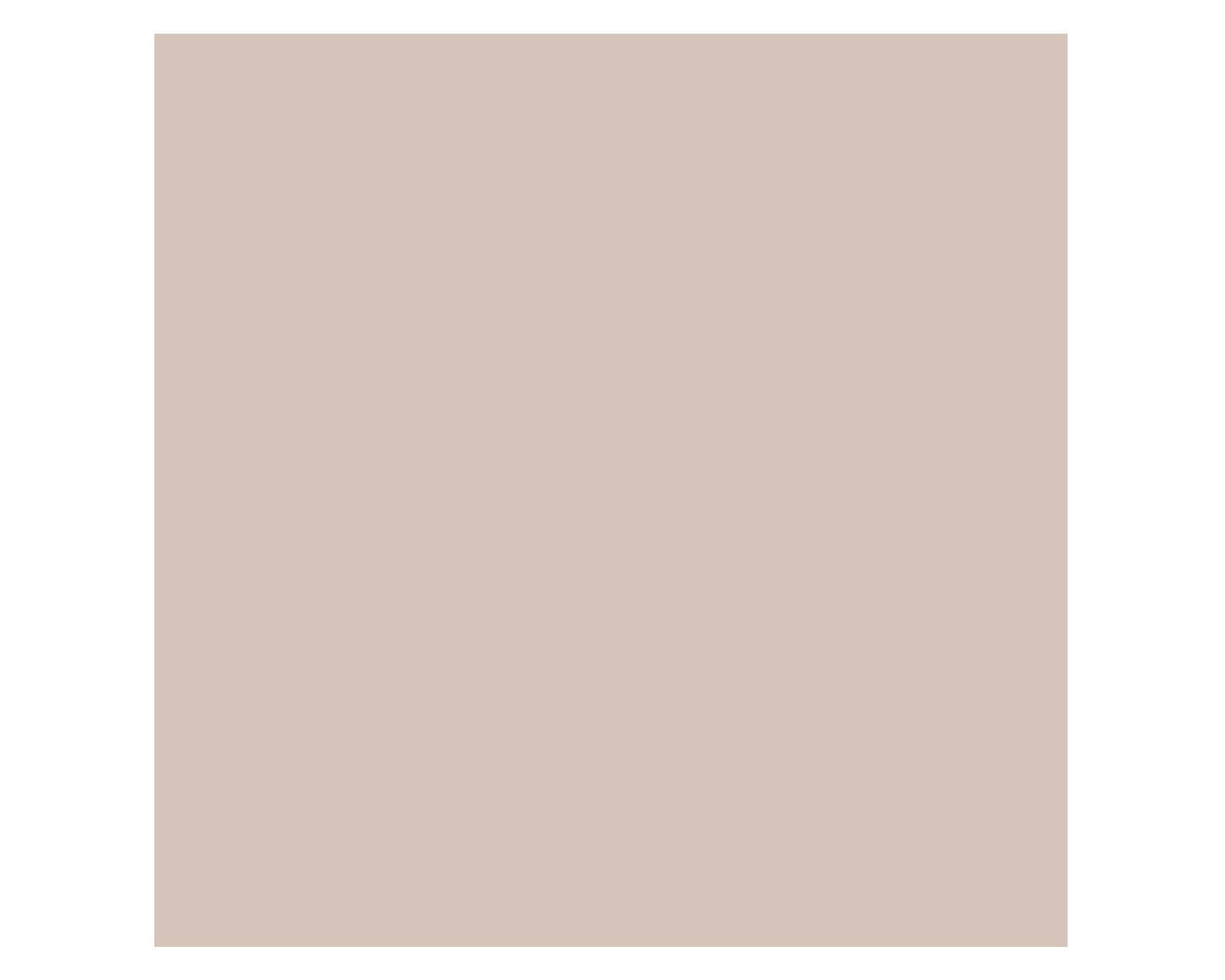 Pintura 130 ml Chalky look greige mate Fleur-3