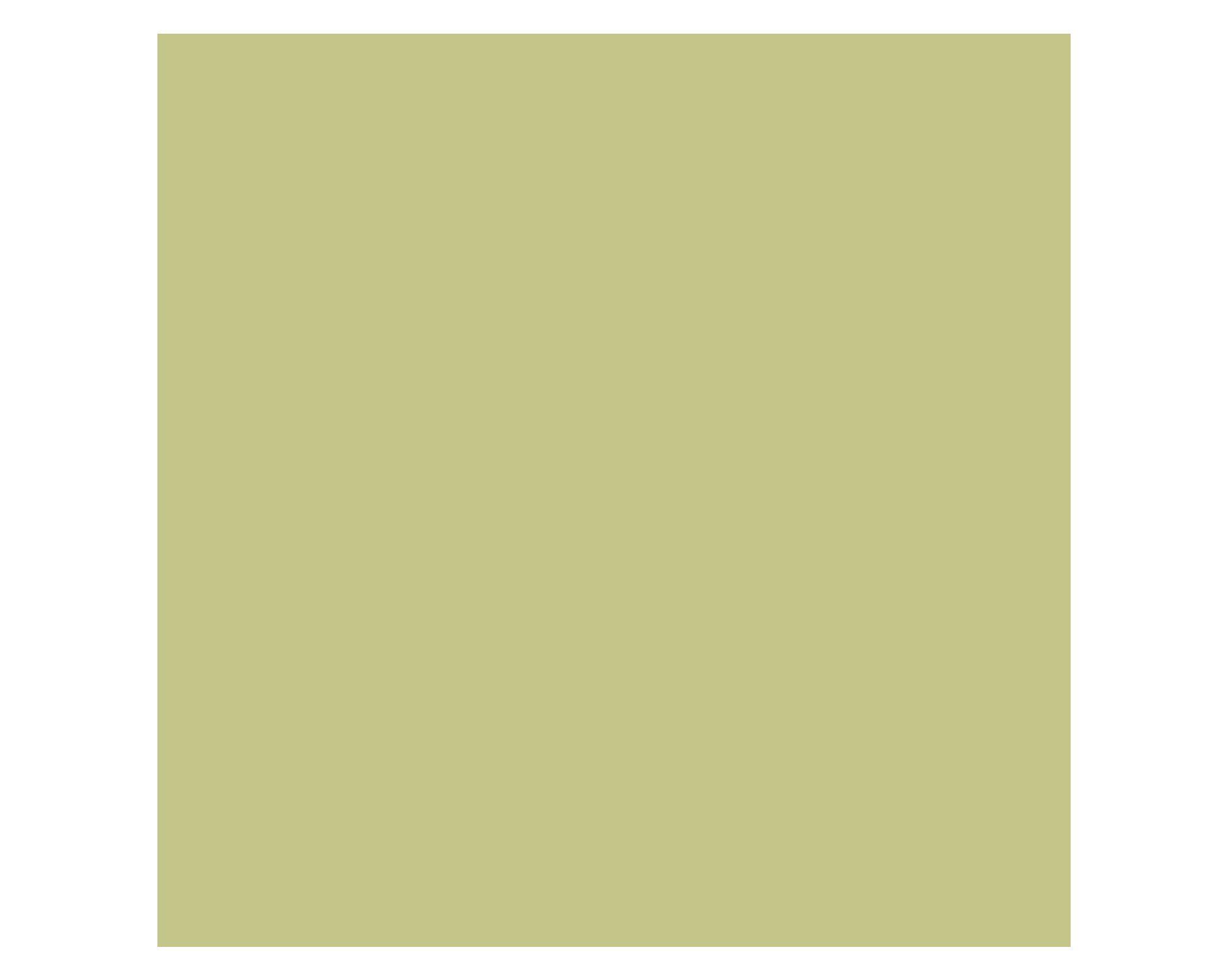 Pintura 750 ml Eggshell veranda green semi satín Fleur-3
