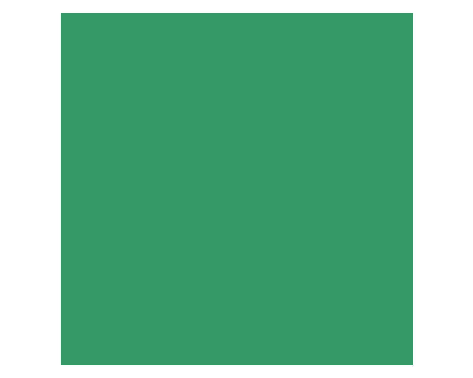 Pintura 330 ml Chalky look welcome green mate Fleur-3