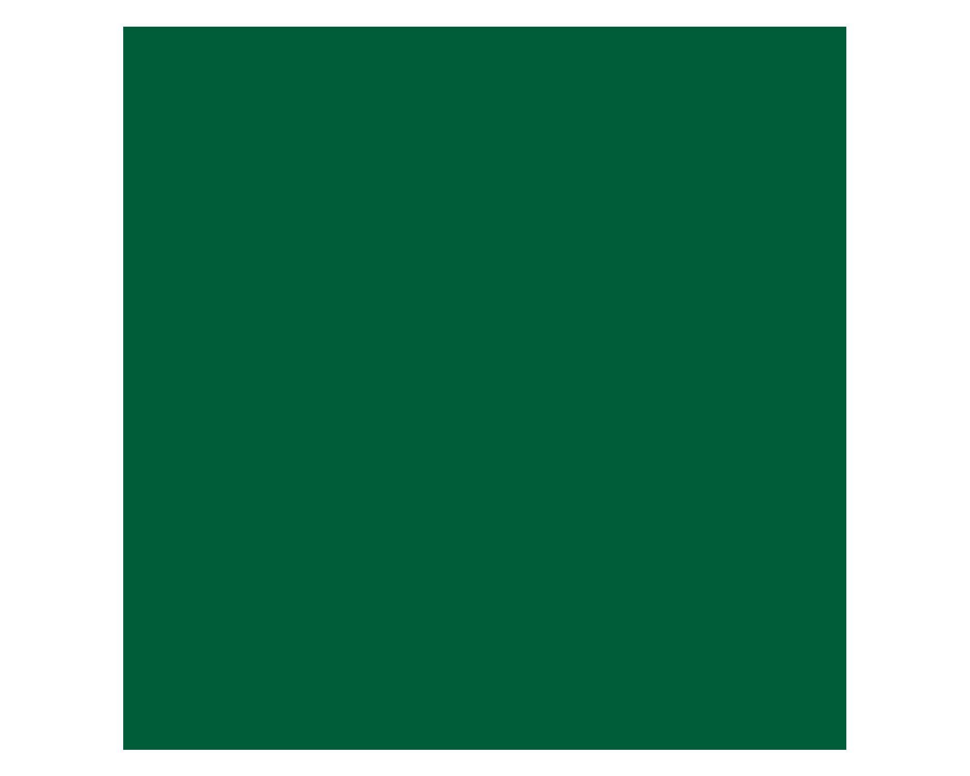 Pintura 750 ml Chalky look the green queen mate Fleur-1