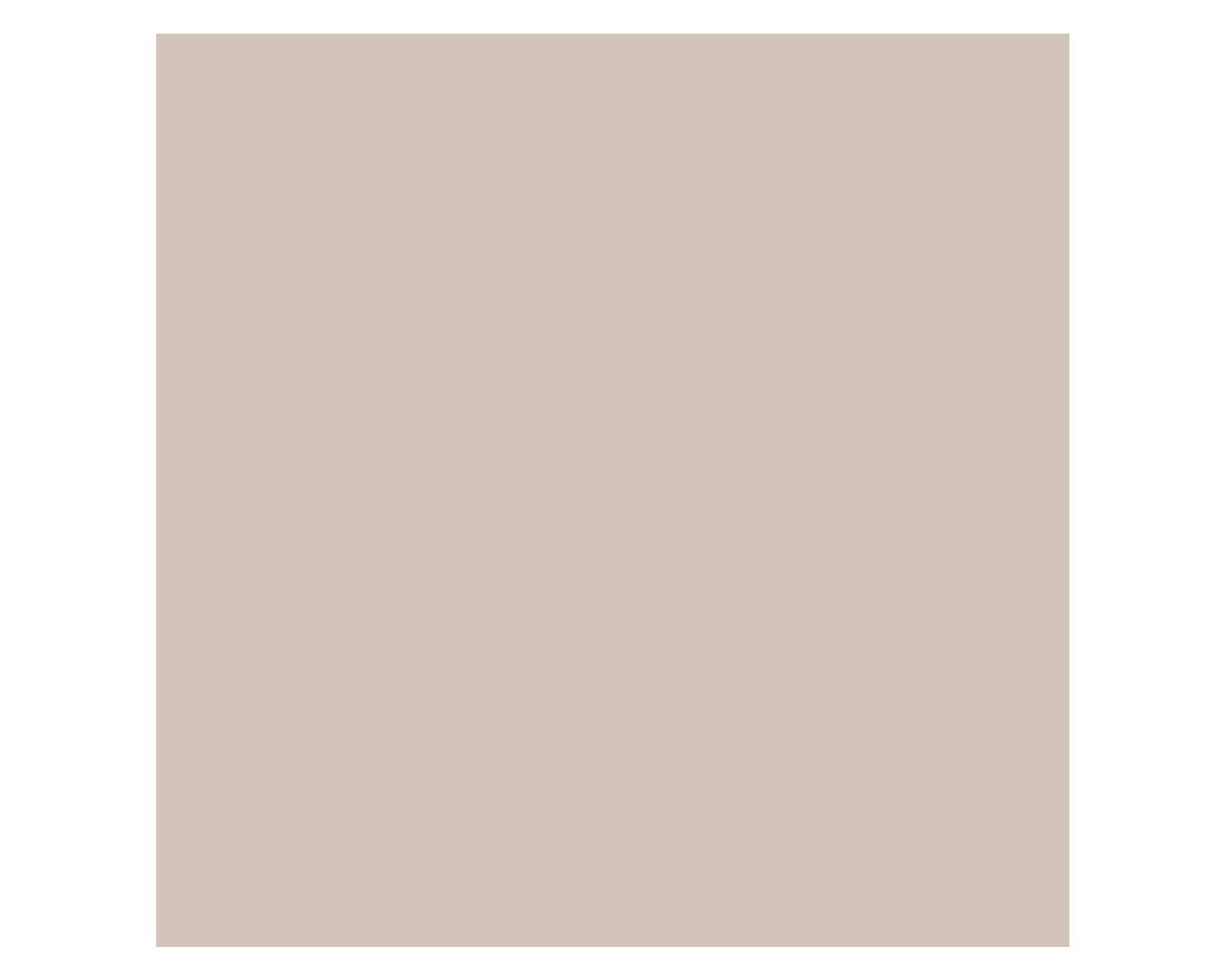 Pintura 750 ml Eggshell greige semi satín Fleur-3