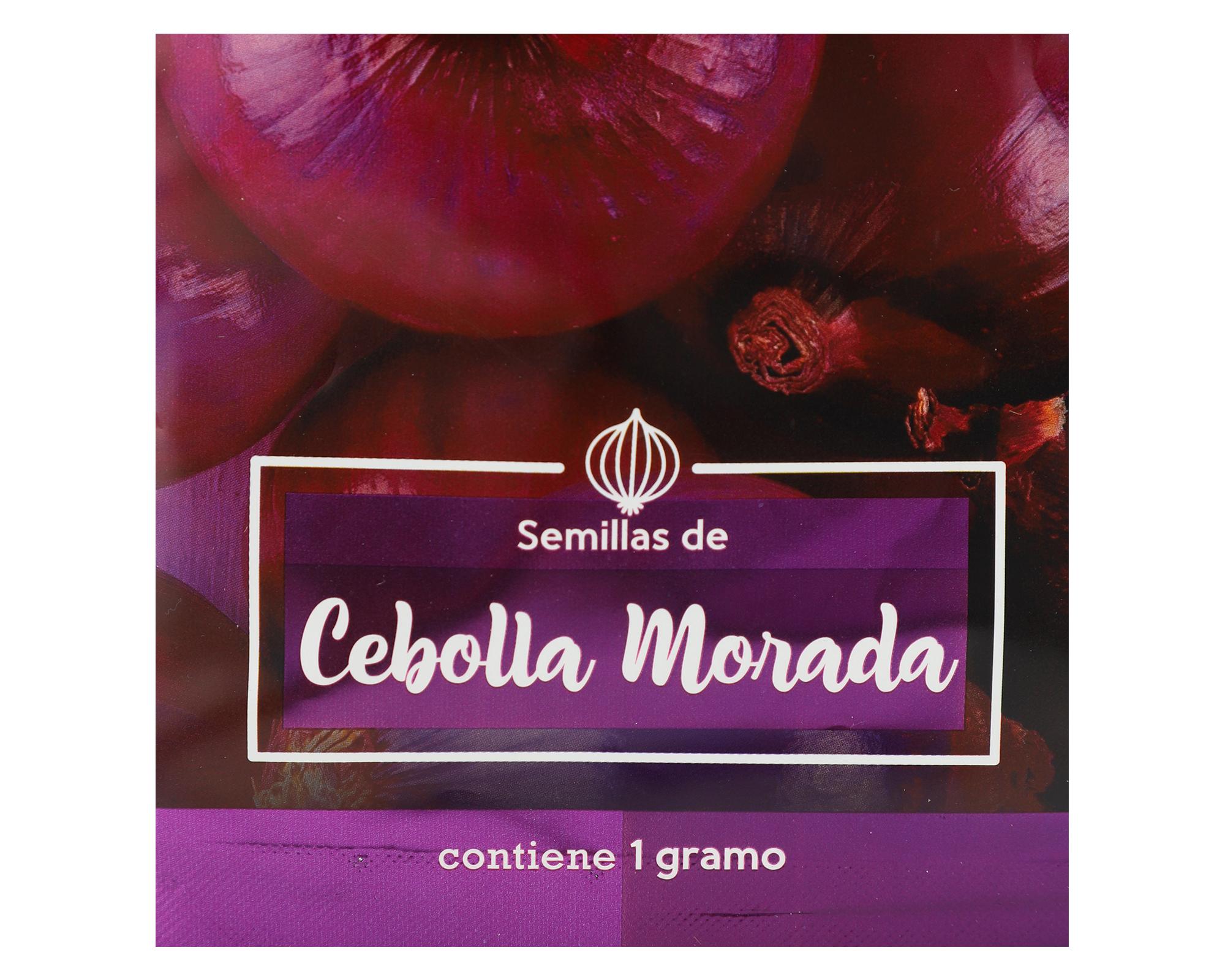Semilla cebolla morada 1 gr Anasac-1