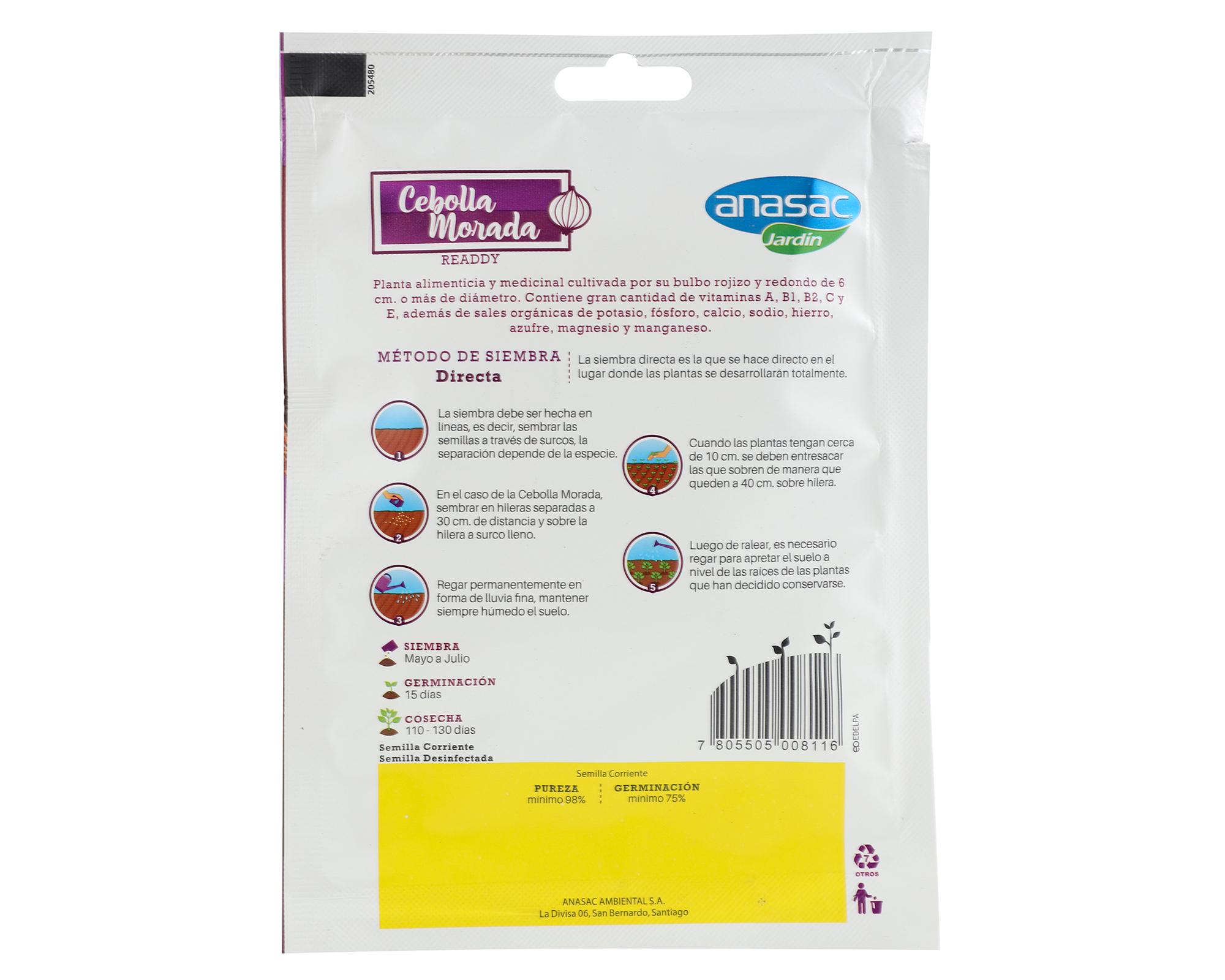 Semilla cebolla morada 1 gr Anasac-2