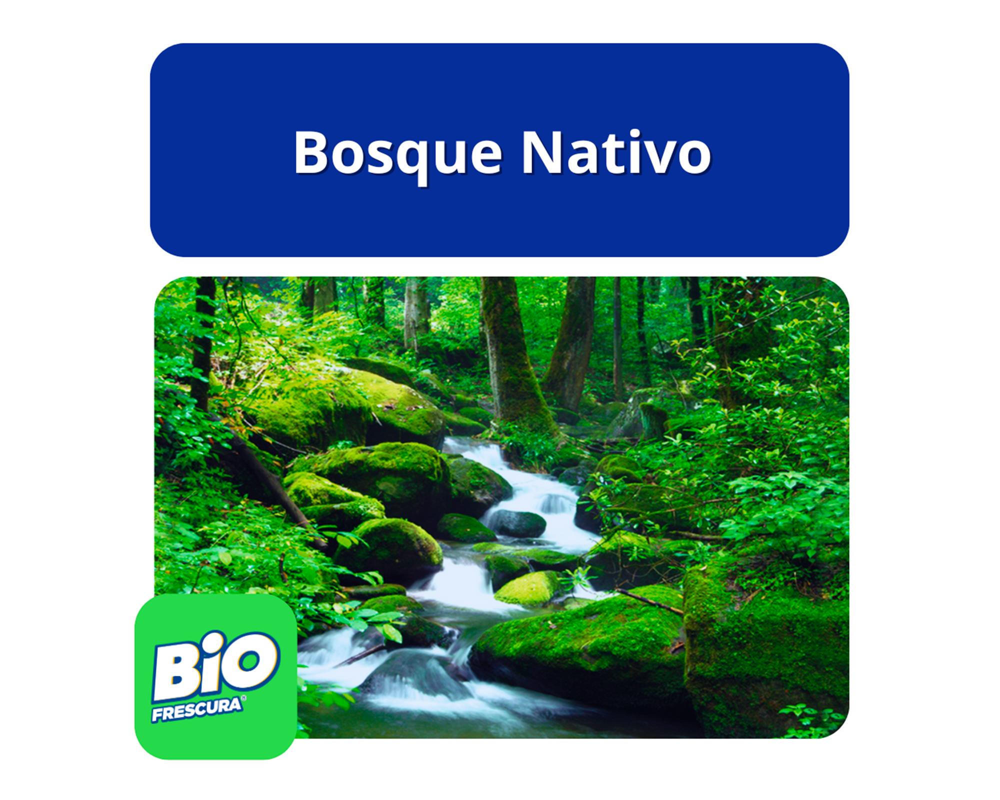 Detergente líquido 3 litros Bosque nativo 2 unidades-1