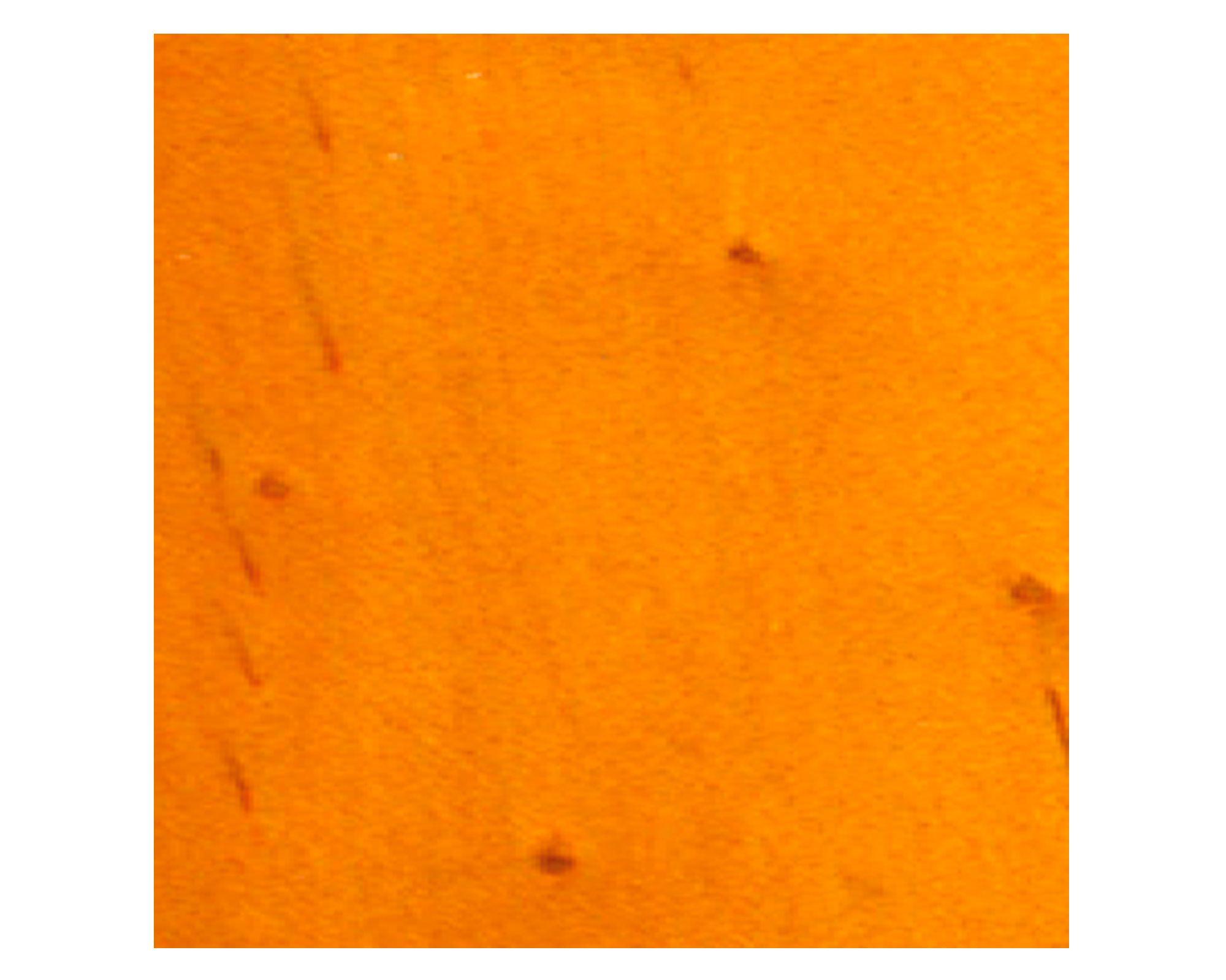 Protector de madera 1 galón Quick drying deckstain natural satín Minwax-3