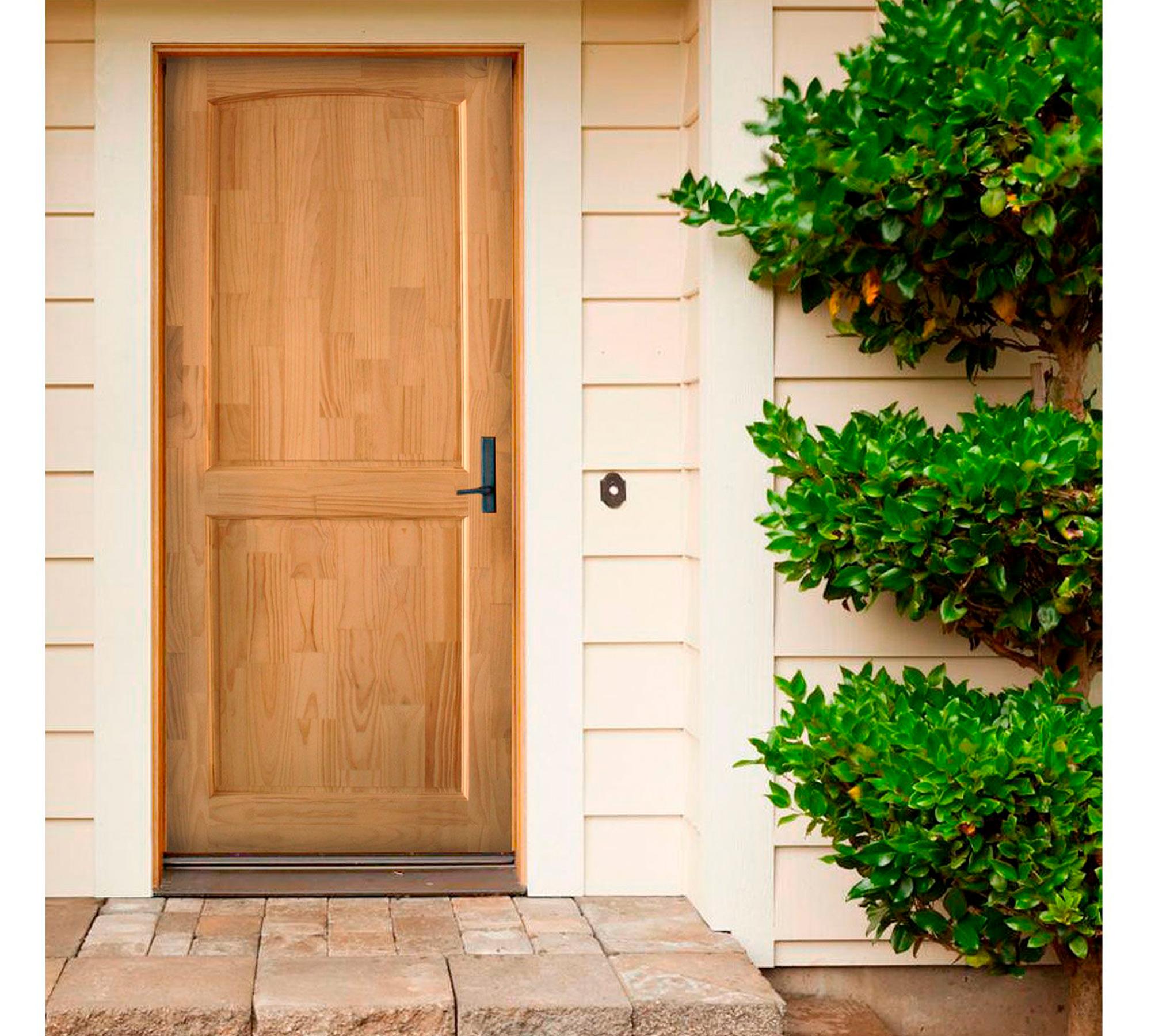 Puerta Pino Radiata Ranco 60x200 cm 2 Paneles Moldupanel-0