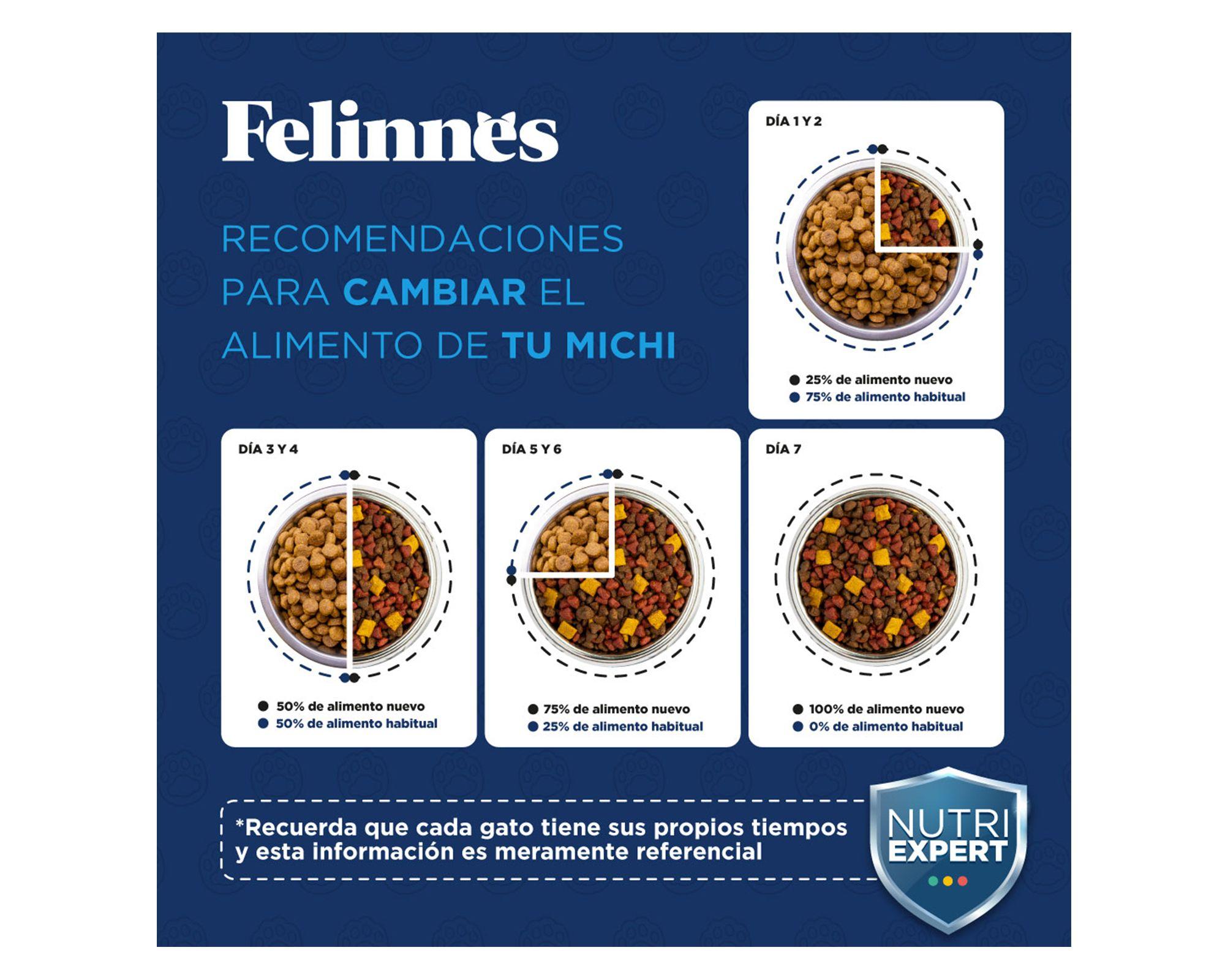 Alimento gato 1 kg salmón Premium Felinnes-3