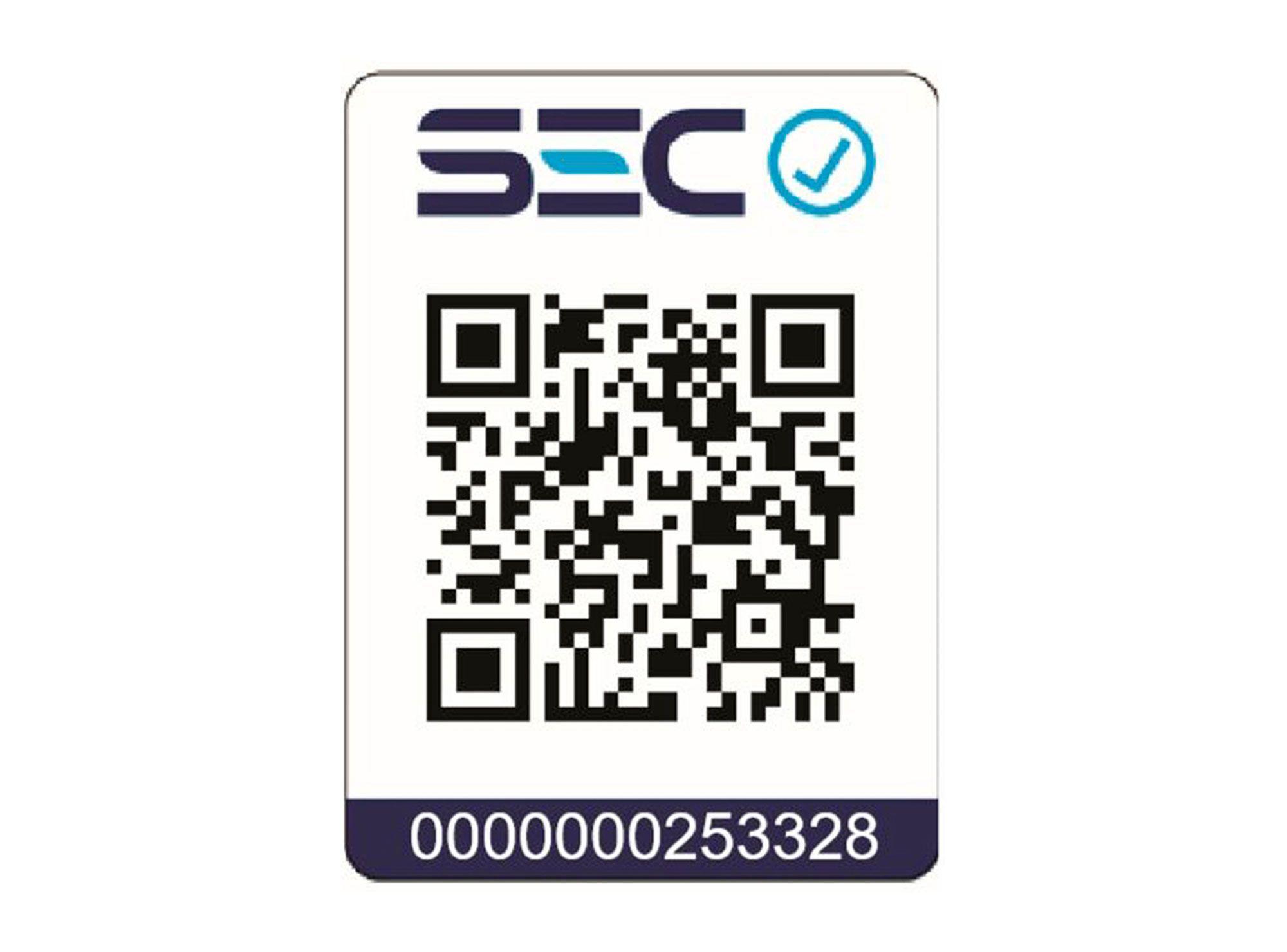 Campana decorativa CA-650PS inox Sindelen-2