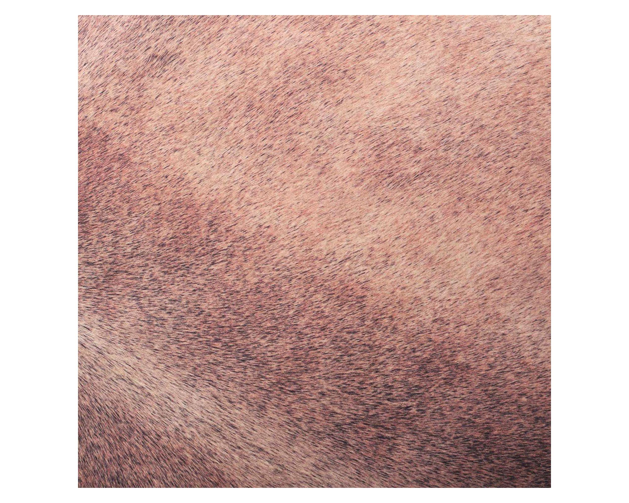 Alfombra 155x190 cm Cow café Dib-2