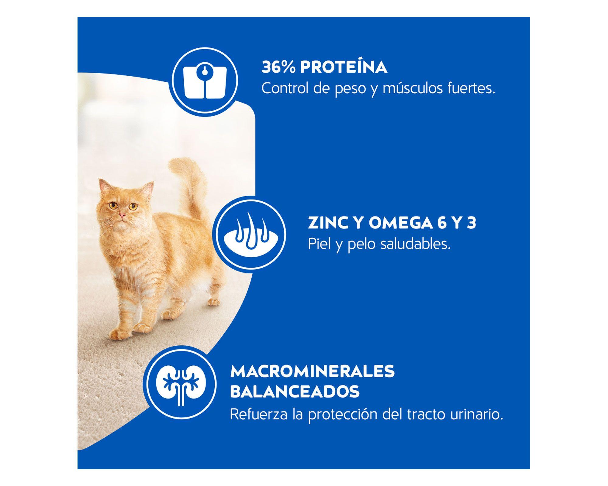 Alimento seco gatos 1 kg esterilizado Cat Chow-5