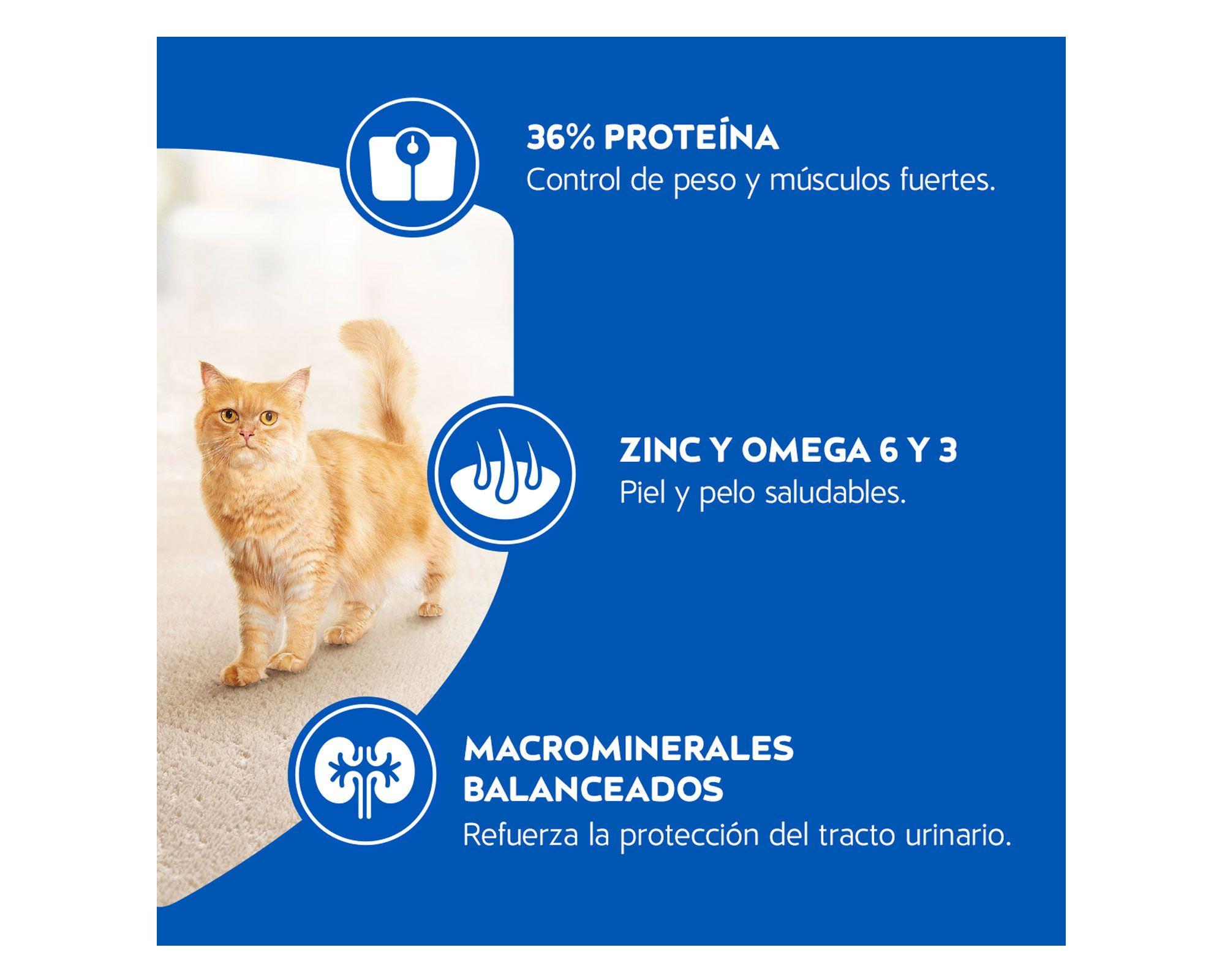 Alimento seco gatos 3 kg esterilizado Cat Chow-5
