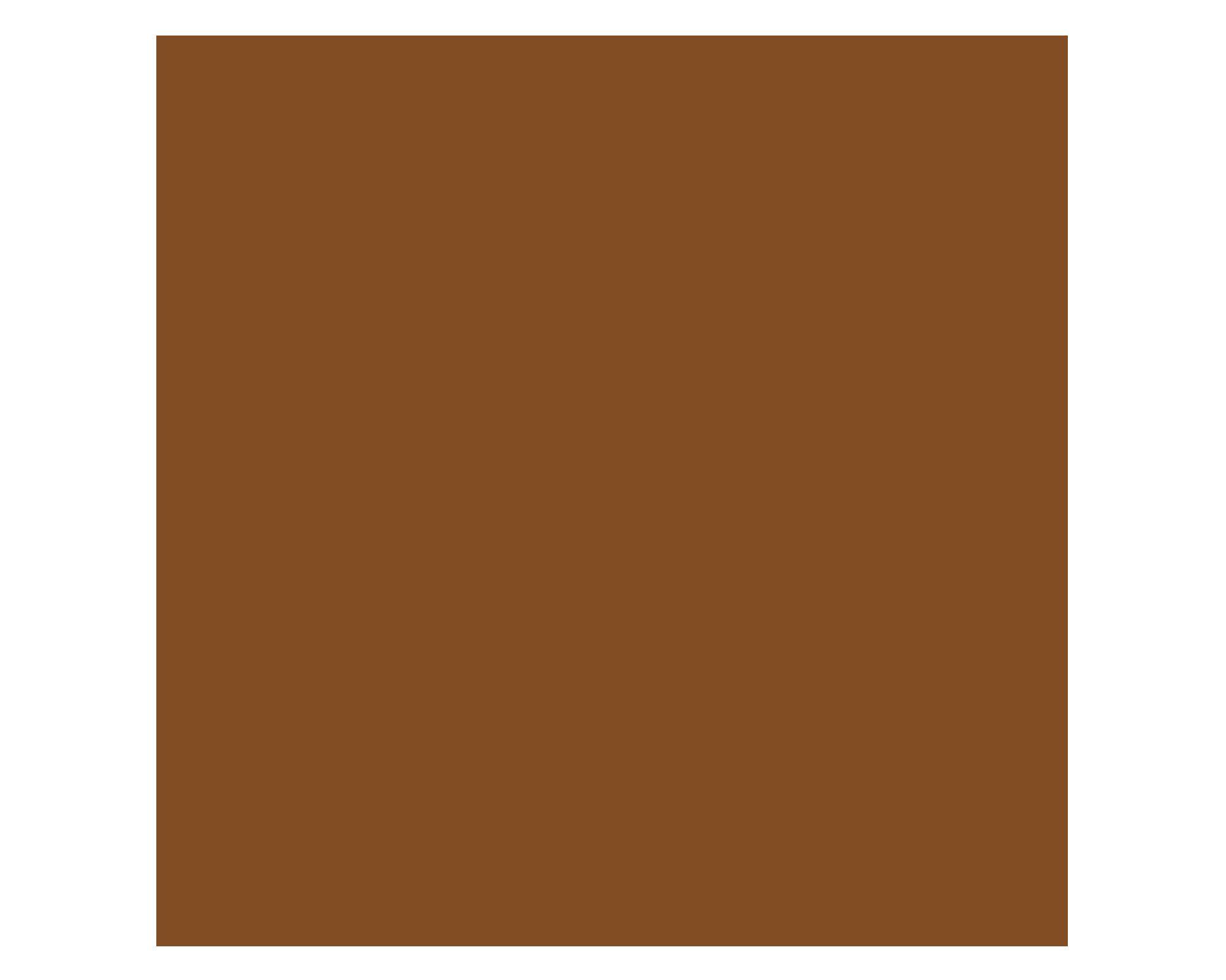 Pintura acrílica 59 ml chocolate mate Testors Craft-3