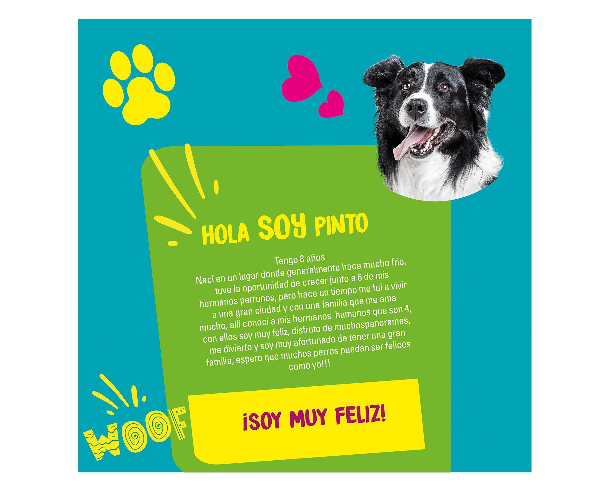 Toallitas húmedas para mascota 30 unidades Pet´s Fun-3